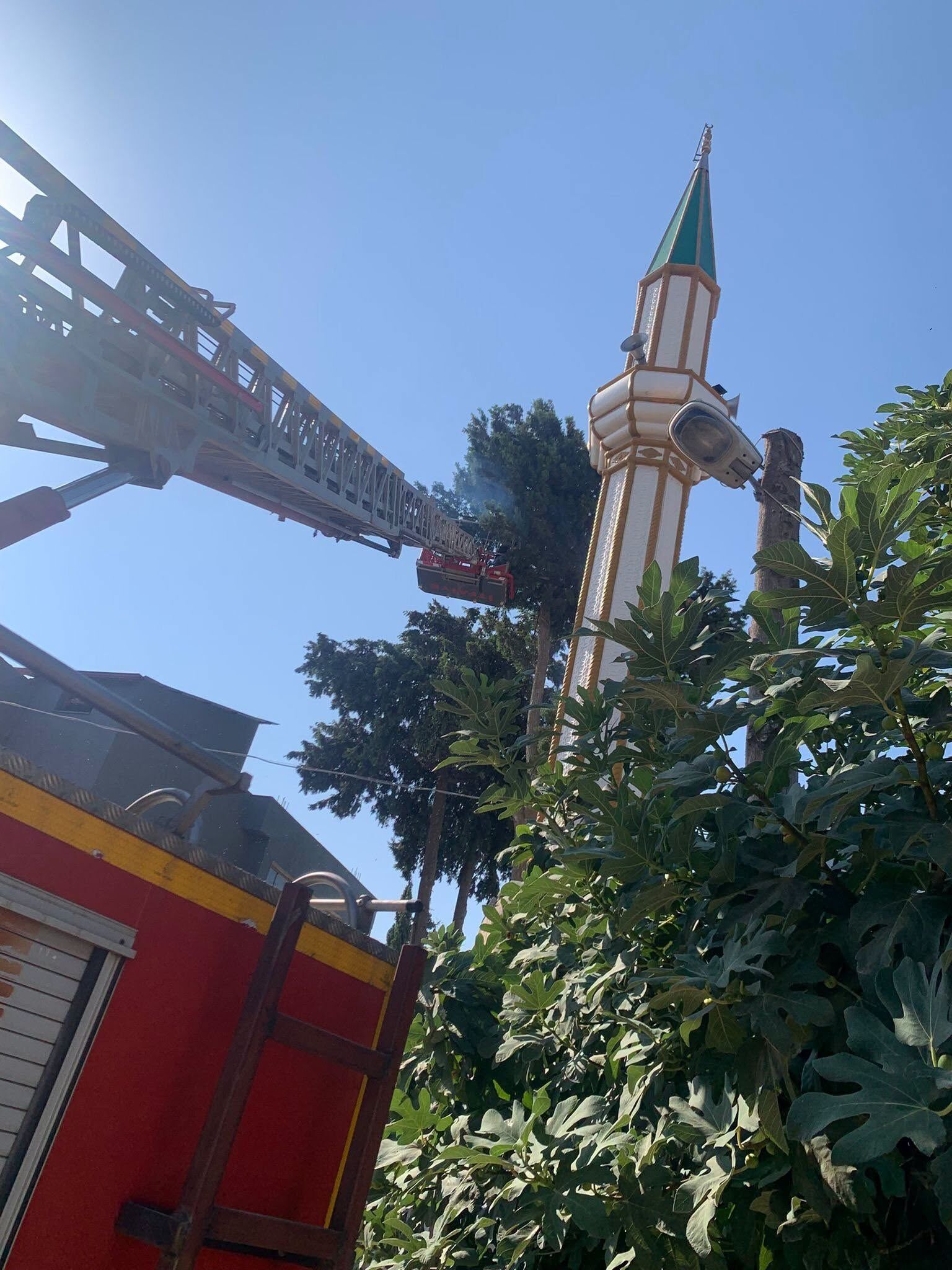 Samandağ ve Reyhanlı’da Hayvanlar Kurtarıldı-1