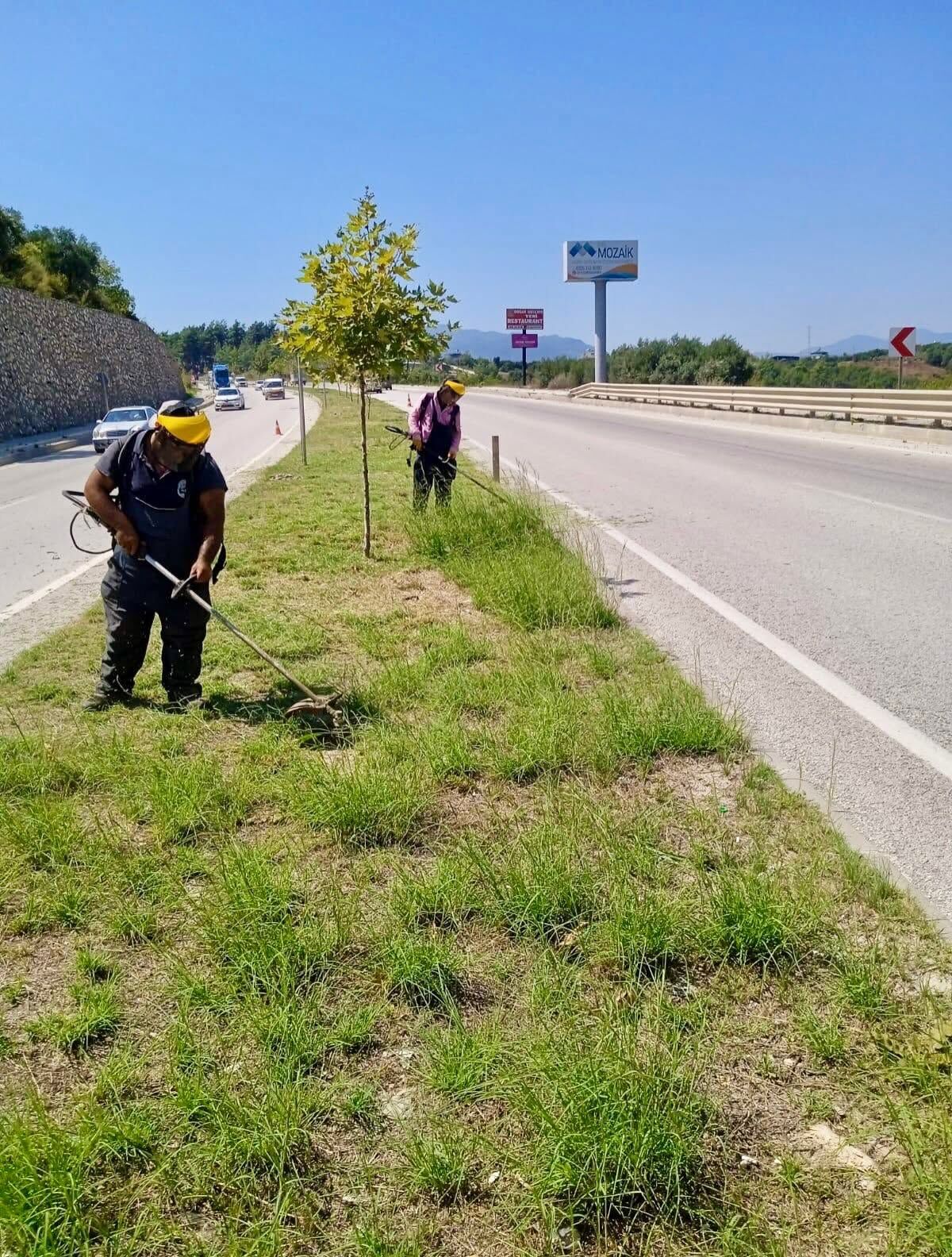 Samandağ'da Yeşil Alanlarda Bakım Çalışması-1