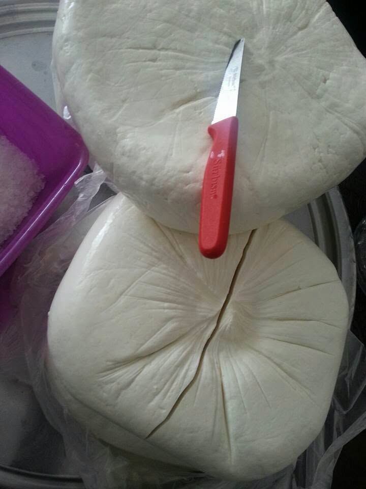 Keçi Peyniri Yapma Zamanı! Doğal Lezzet Sofralarda-1