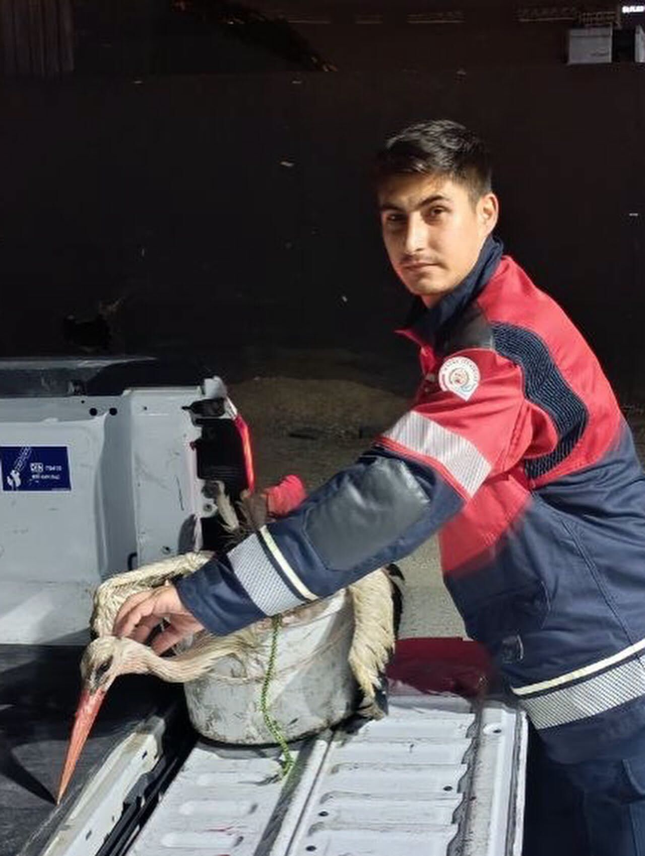 Arsuz’da İtfaiye Ekipleri Yorgun Leyleği Kurtardı-1