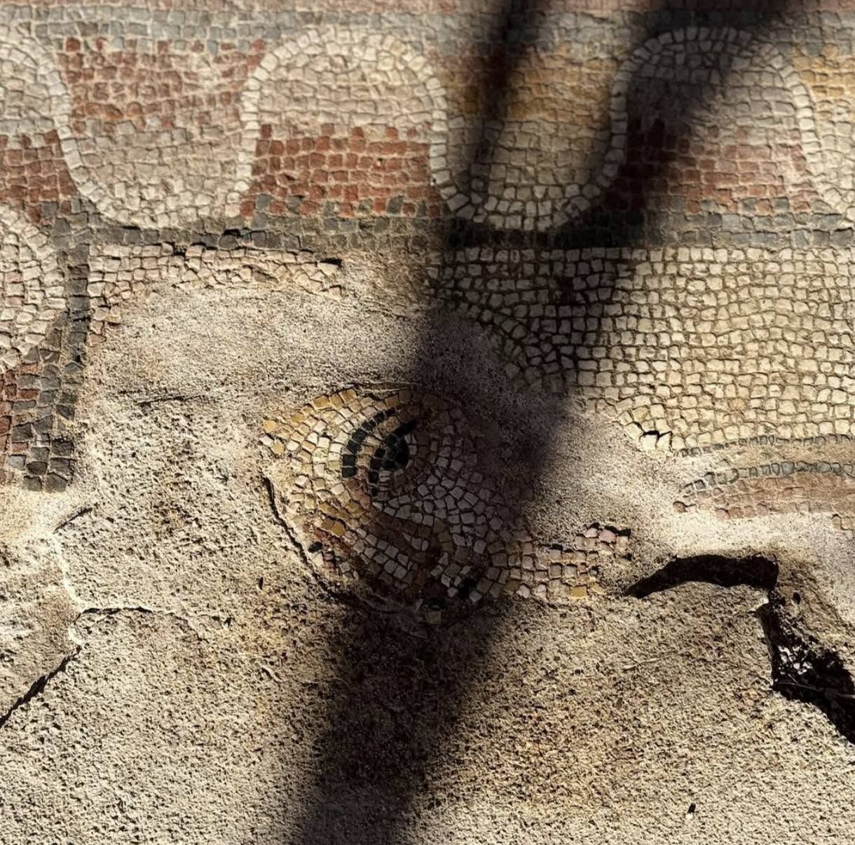 Eskipazar'daki 1600 Yıllık Sarayın Mozaikleri Yenilendi
