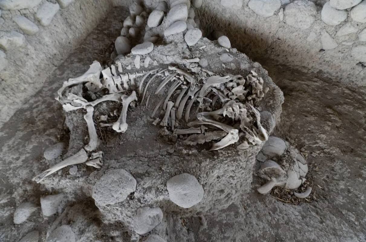 İzmir’de Yassıtepe Höyüğü 5 Bin Yıl Öncesine Işık Tutuyor