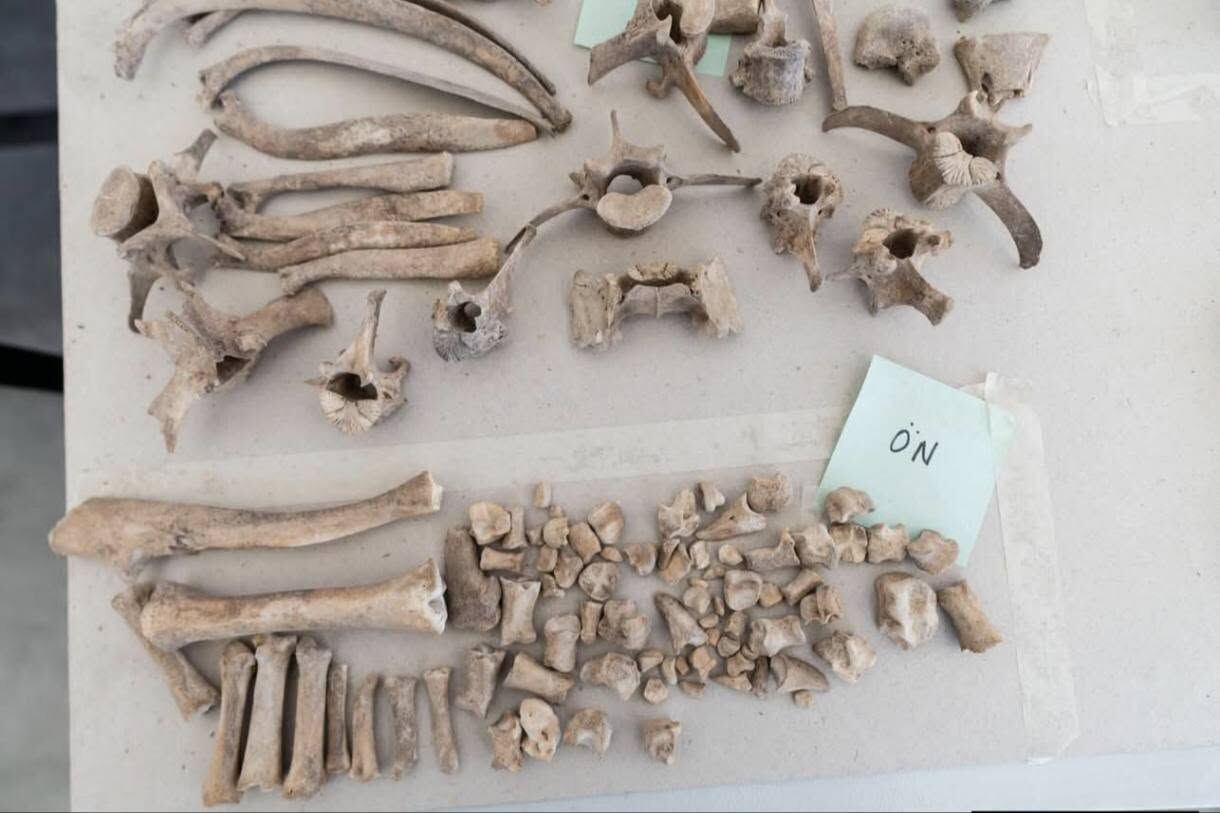 İzmir’de Yassıtepe Höyüğü 5 Bin Yıl Öncesine Işık Tutuyor