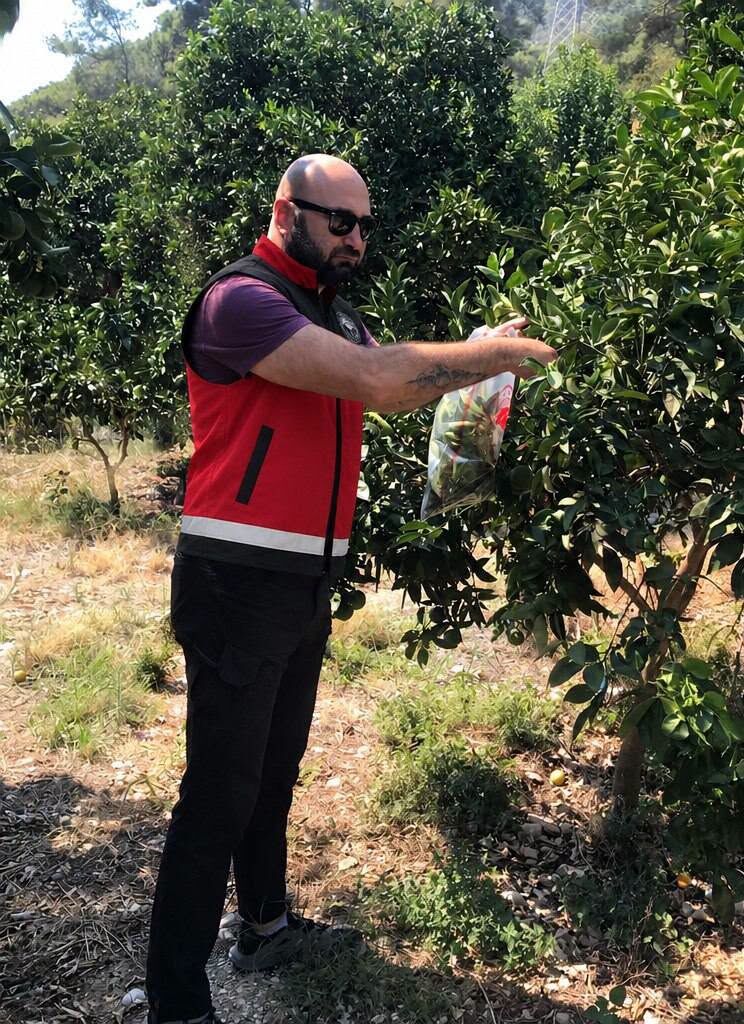 Aksu ve Finike’de Zararlılara Karşı Tarla Çalışması-1
