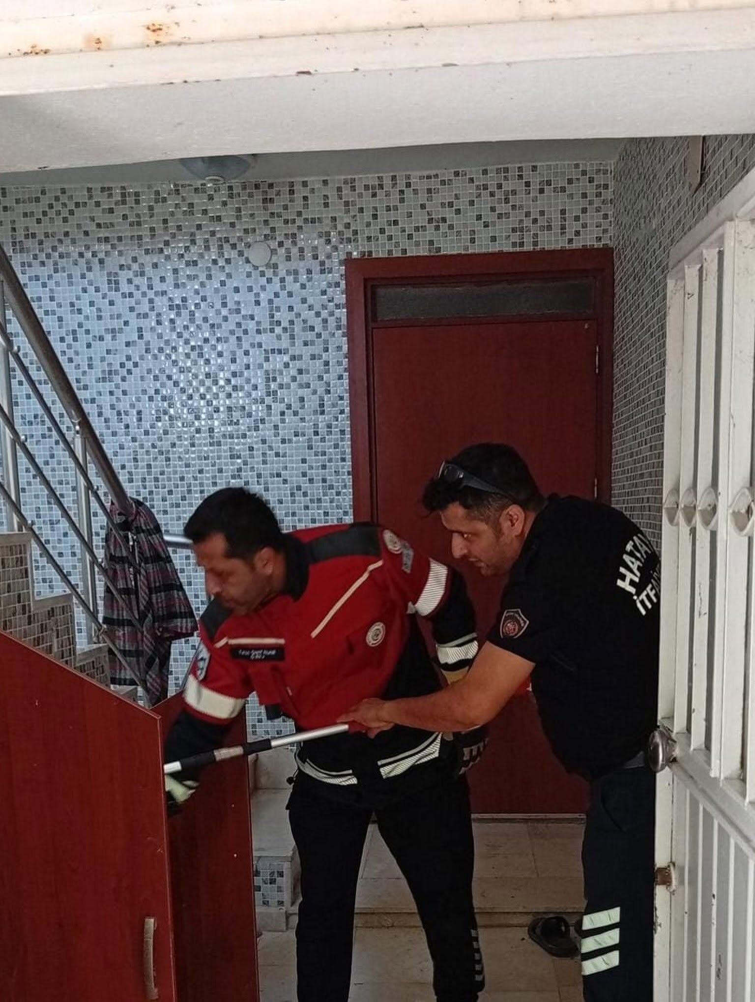 Samandağ’da Yerleşim Yerine Giren Yılan Kurtarıldı