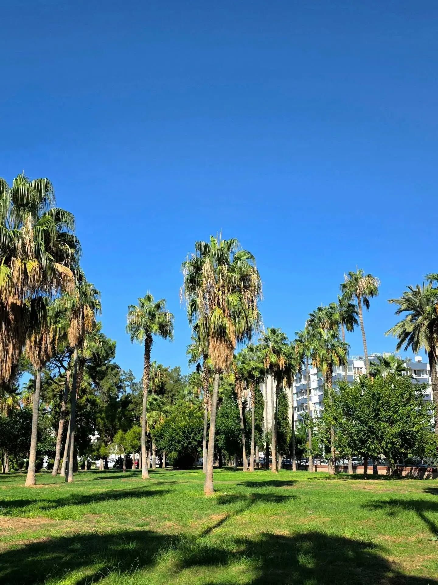 İskenderun Millet Parkı Sakinliğiyle Dikkat Çekiyor-1