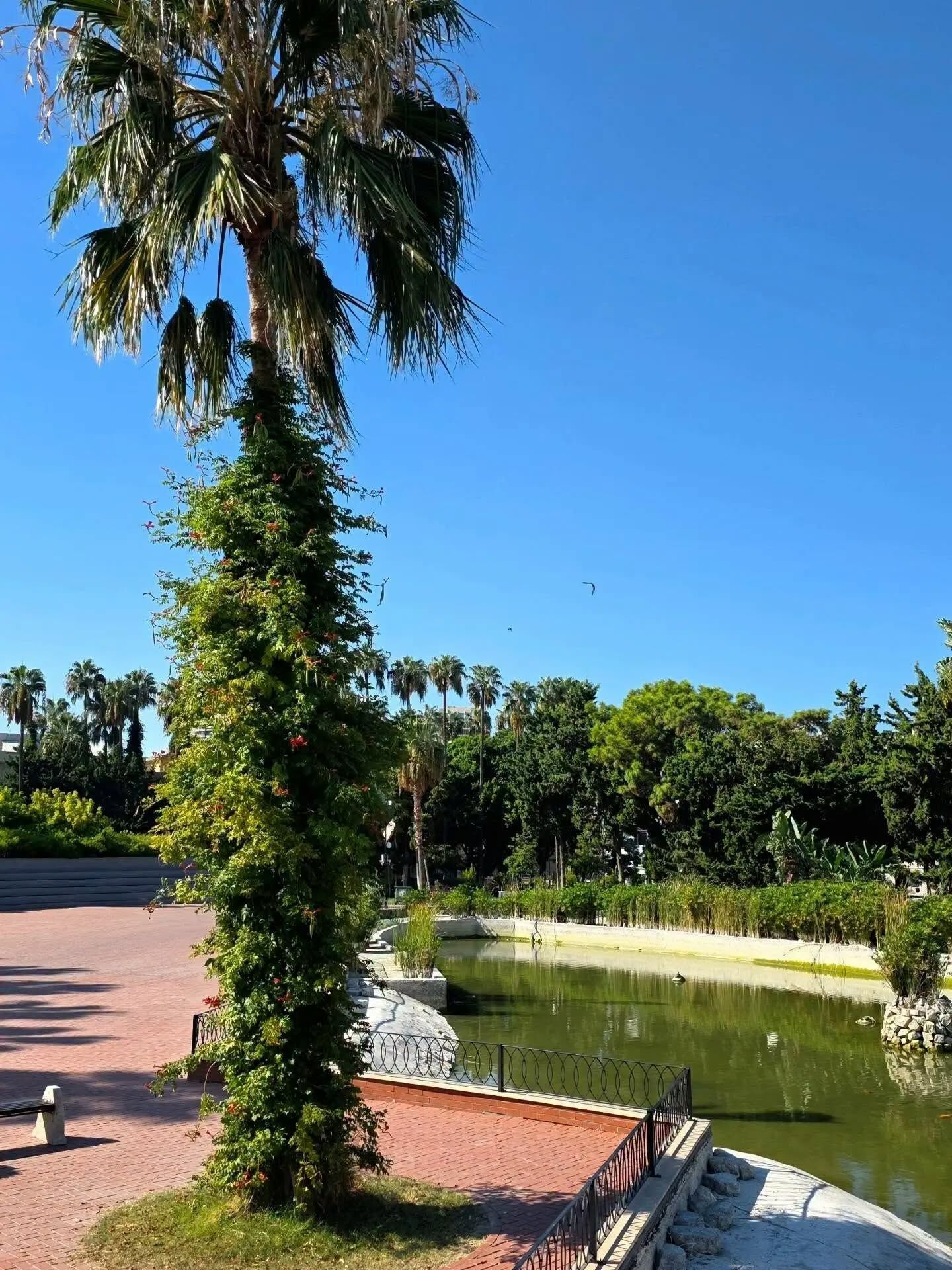 İskenderun Millet Parkı Sakinliğiyle Dikkat Çekiyor