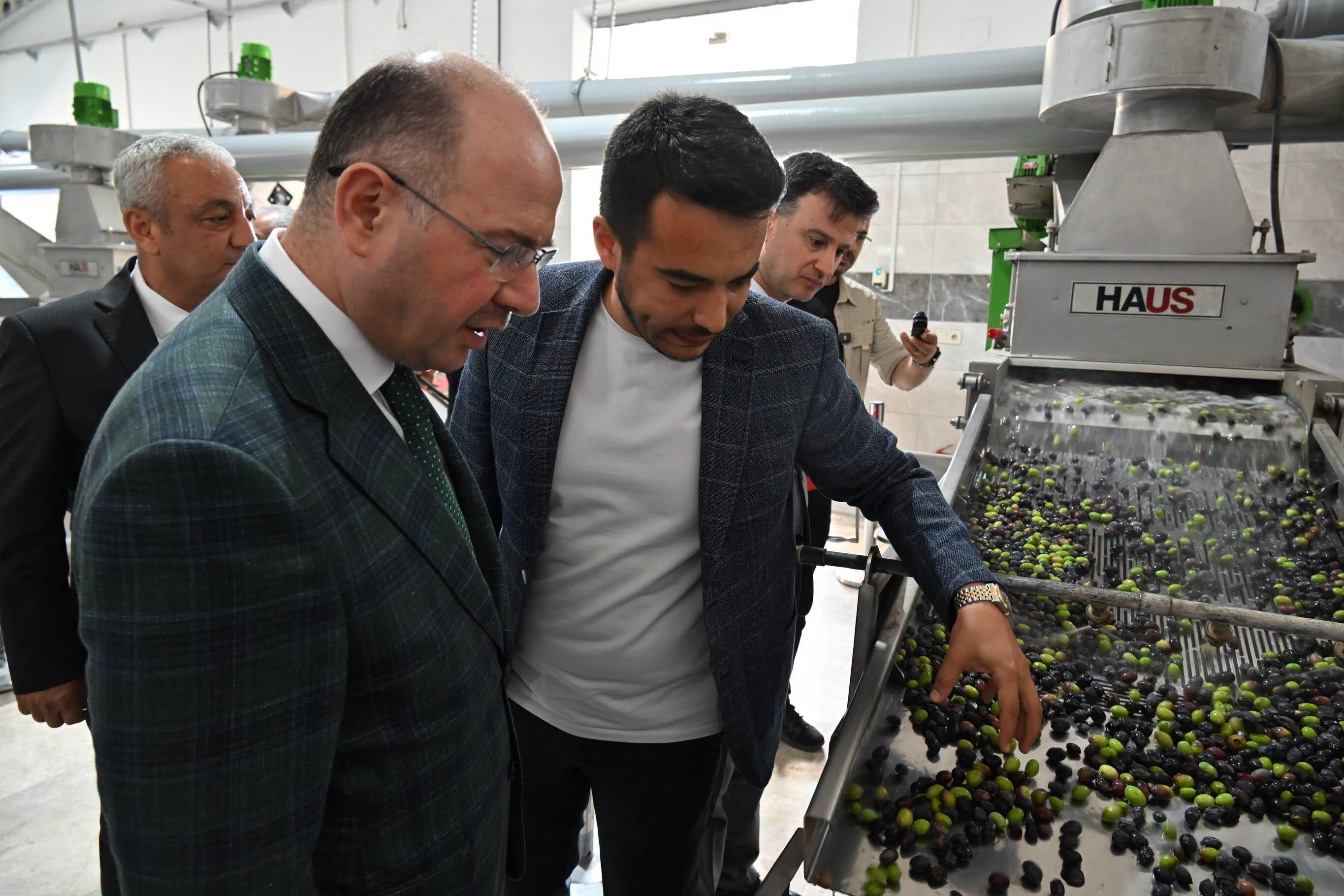 Osmaniye Valisi Serdengeçti Zeytin Sıkımını İnceledi