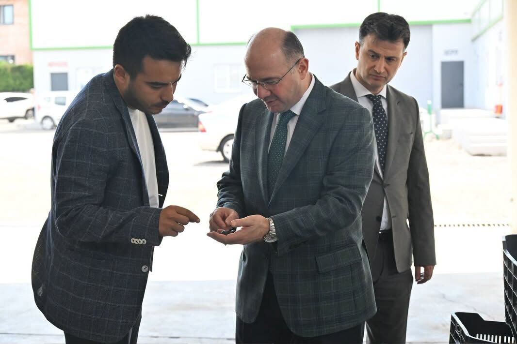 Osmaniye Valisi Serdengeçti Zeytin Sıkımını İnceledi