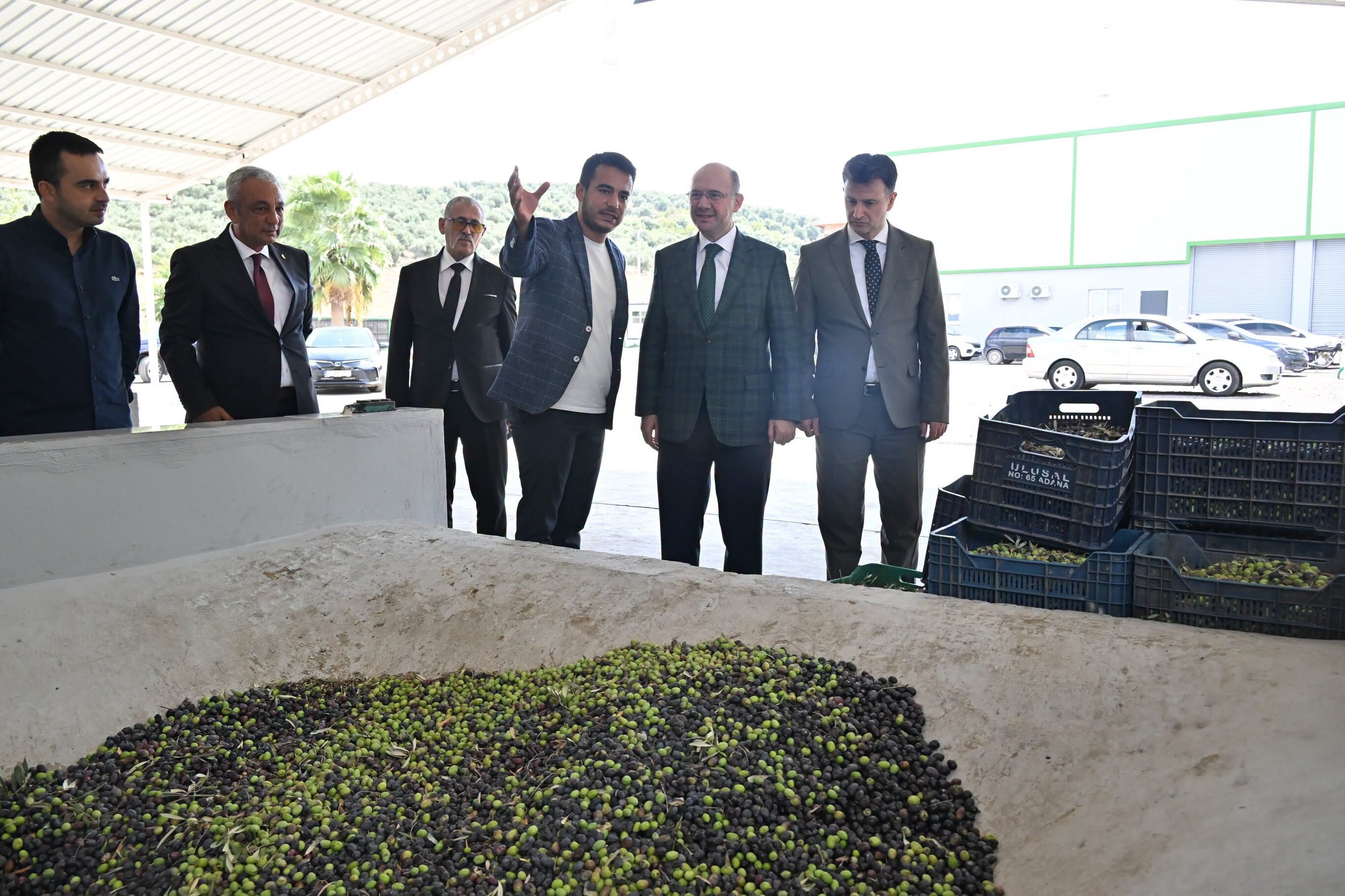 Osmaniye Valisi Serdengeçti Zeytin Sıkımını İnceledi
