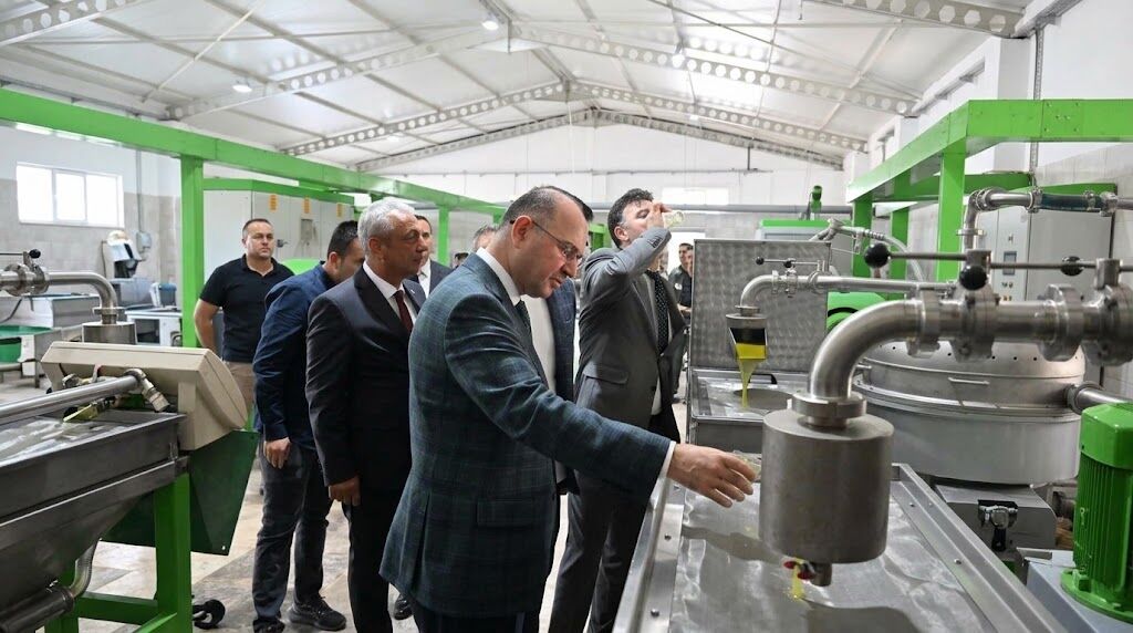 Osmaniye Valisi Serdengeçti Zeytin Sıkımını İnceledi