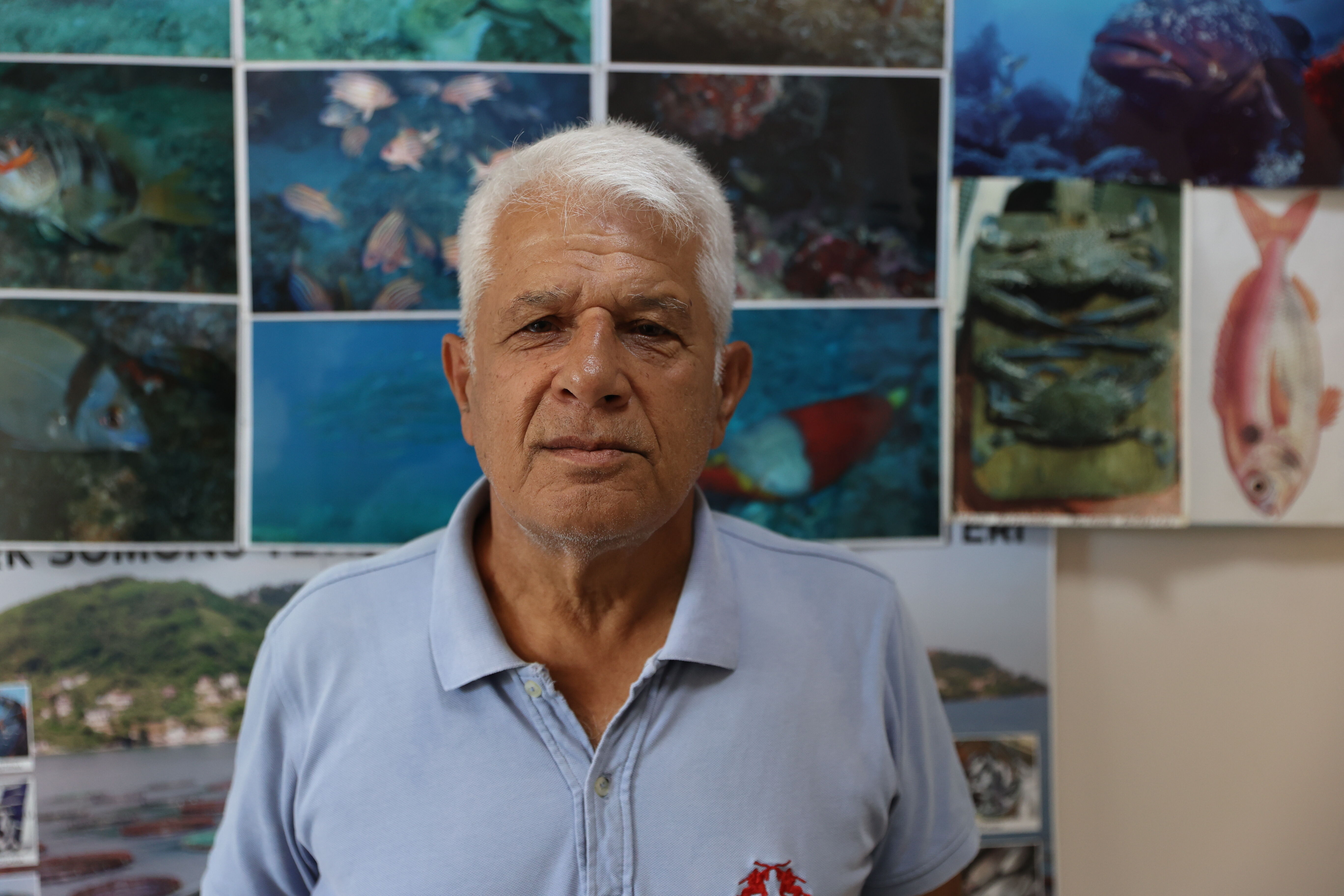 Akdeniz foku yeni doğan yavrusuyla Antalya'da görüntülendi