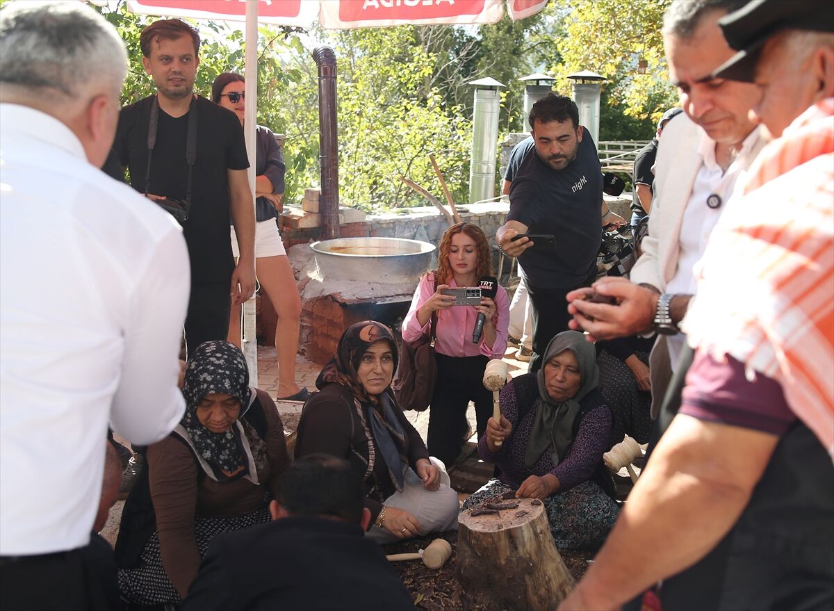 Alanya'da 2. Keçiboynuzu Hasat Şenliği düzenlendi