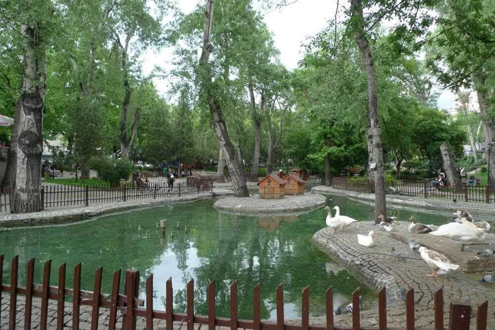 Ankara Çankaya’da Kuğulu Park Ziyaretçilerini Ağırlıyor2