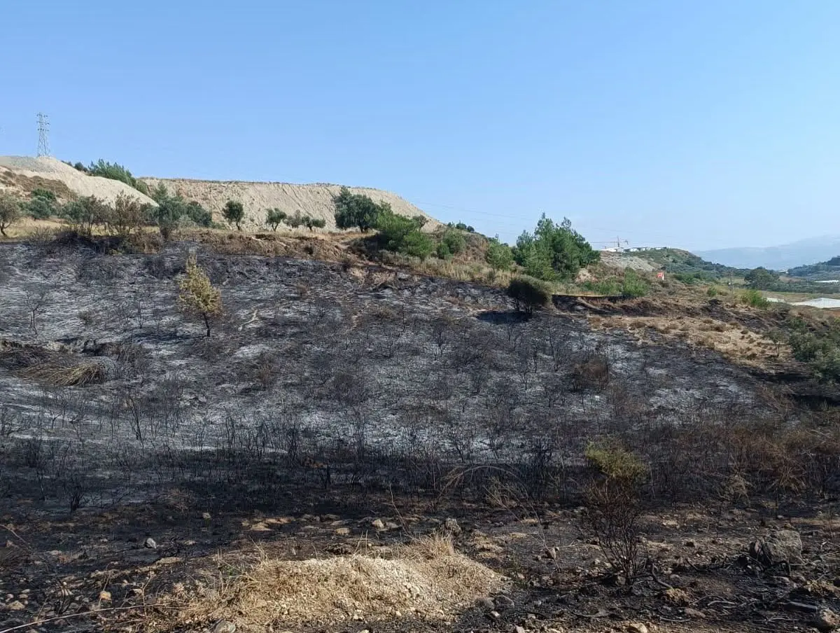 Antakya Kisecik Zeytinlik Yangini 3