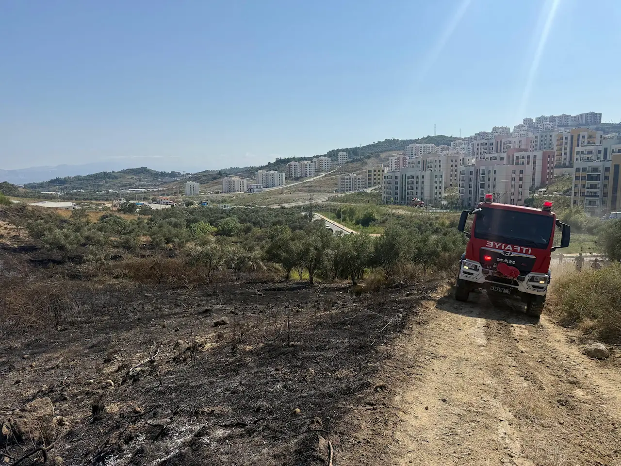 Antakya Kisecik Zeytinlik Yangini2