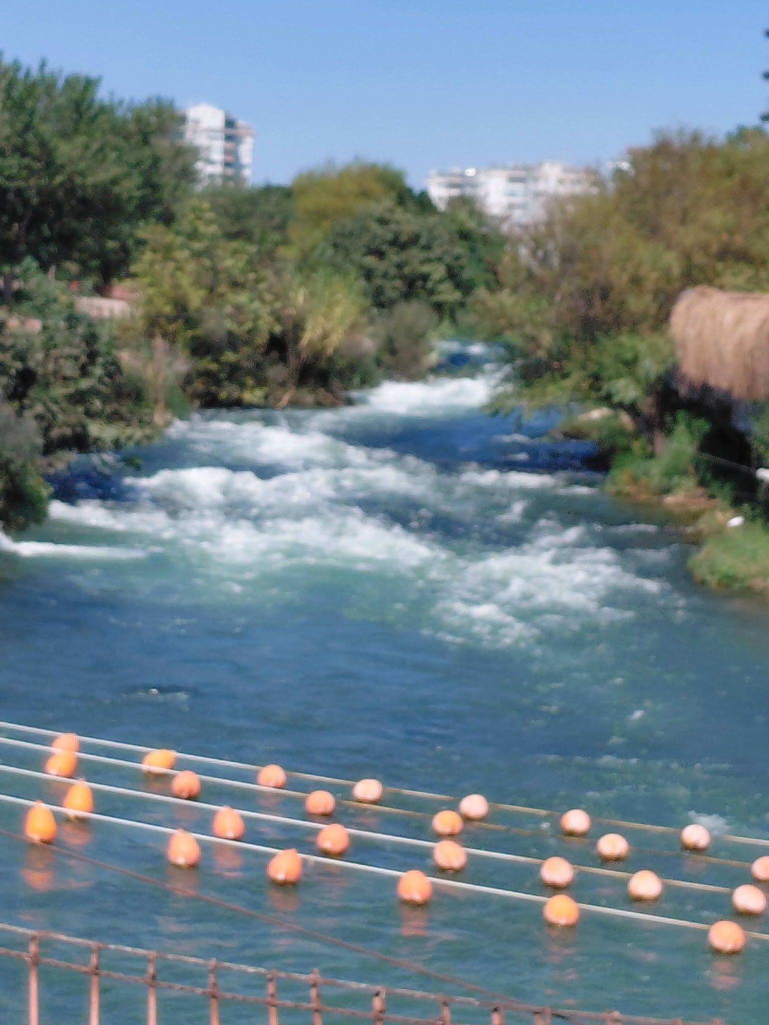 Doğa