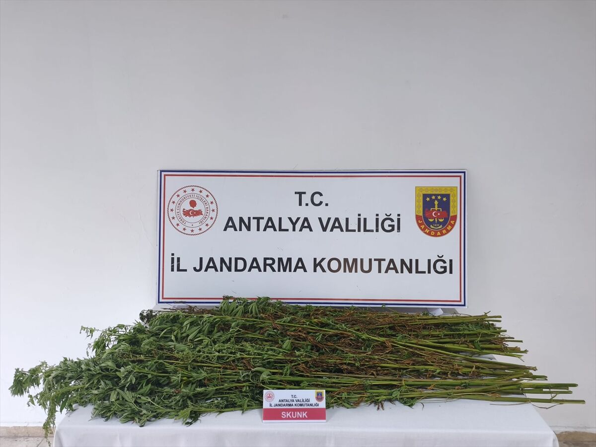 Antalya'da uyuşturucu operasyonunda bir zanlı yakalandı