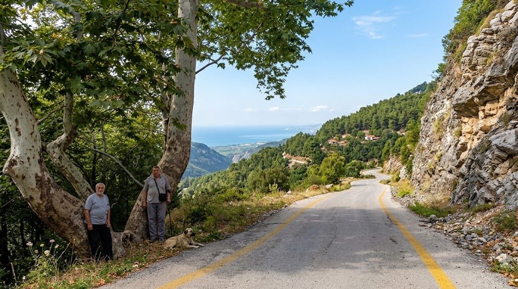 Çataloluk’ta İki Çınar, İki Usta Şair ve Mitisin Yolu