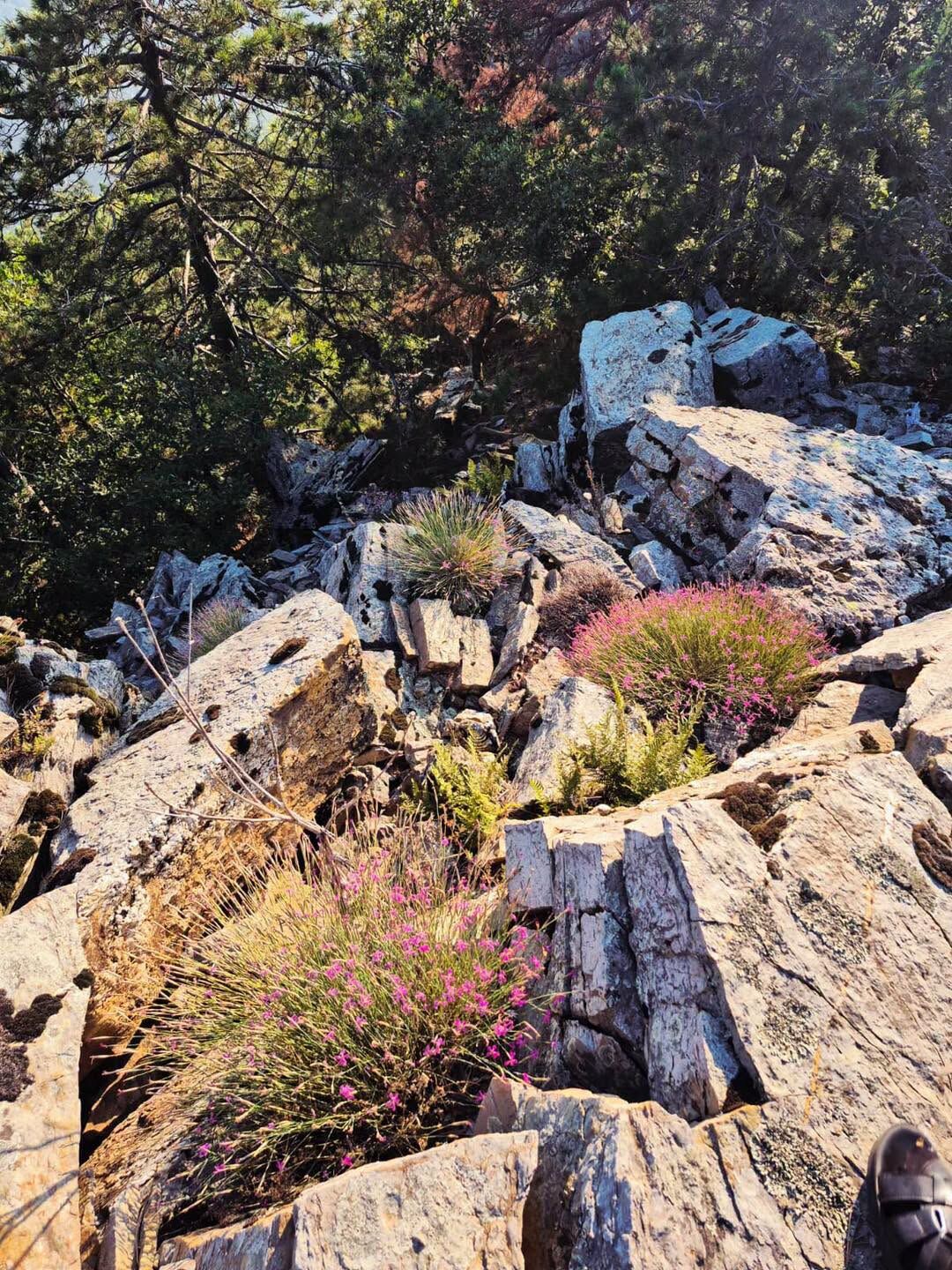 Dörtyol’un Topaktaş Yaylası Sonbahara Bürünüyor (5)