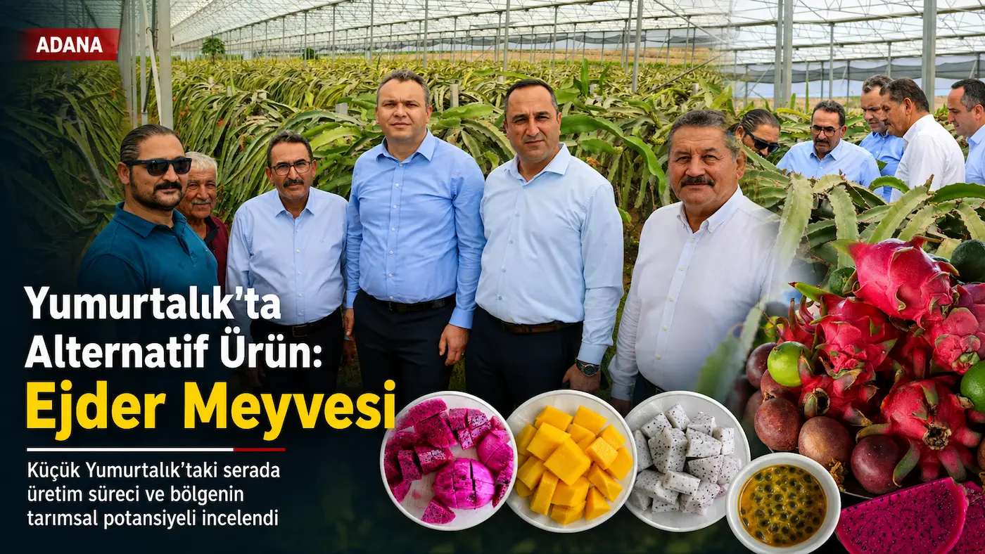 Adana Yumurtalık’ta Alternatif Ürün: Ejder Meyvesi