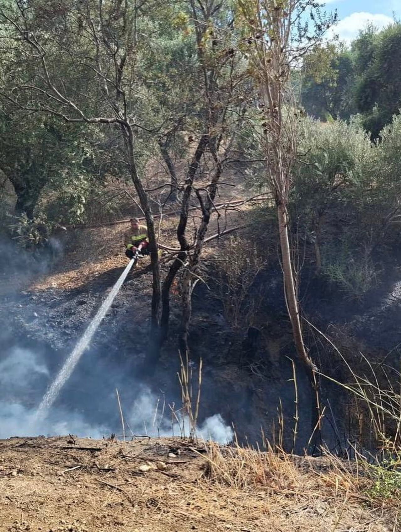 Hatay Antakya’da Zeytinlik Yangını Büyümeden Söndürüldü