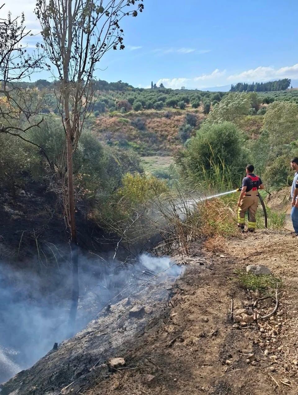 Hatay Antakya’da Zeytinlik Yangını Büyümeden Söndürüldü2