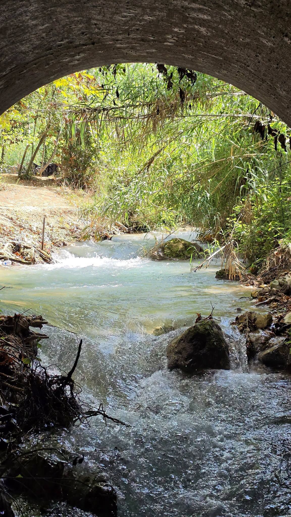 Hatay Defne Aşağı Harbiye’de Doğayla İç İçe Yaşam1