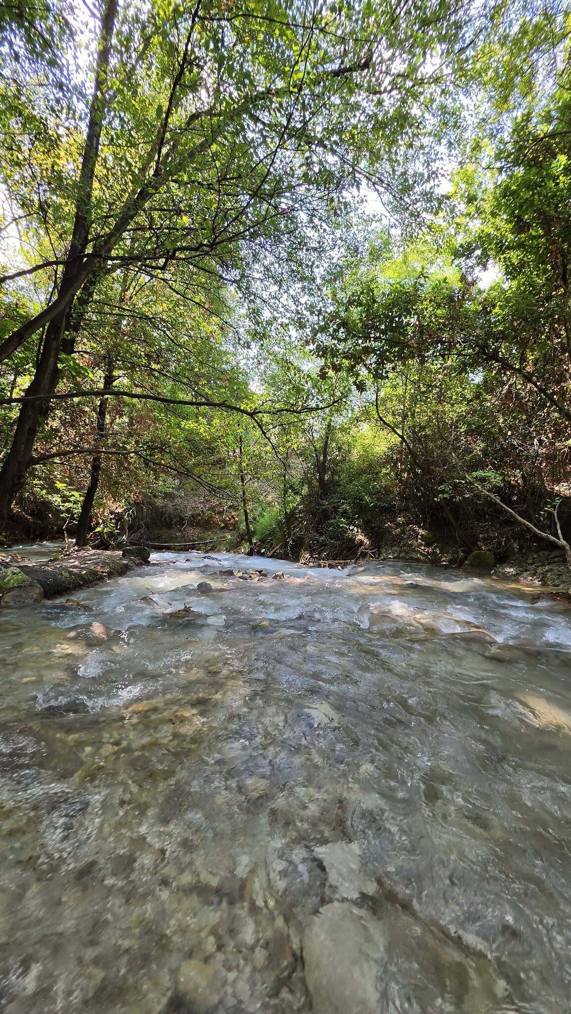 Hatay Defne Aşağı Harbiye’de Doğayla İç İçe Yaşam4