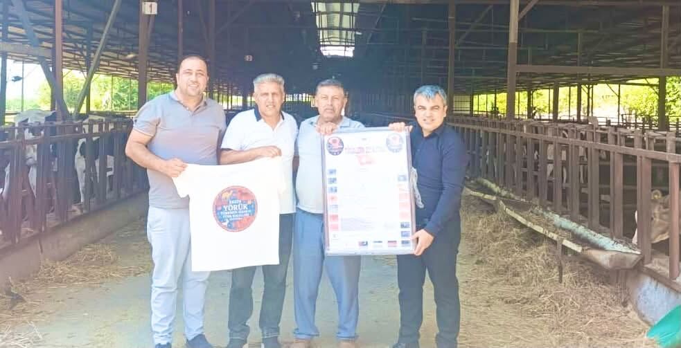Hatay Erzin’de Festival Hazırlıkları Hız Kazandı