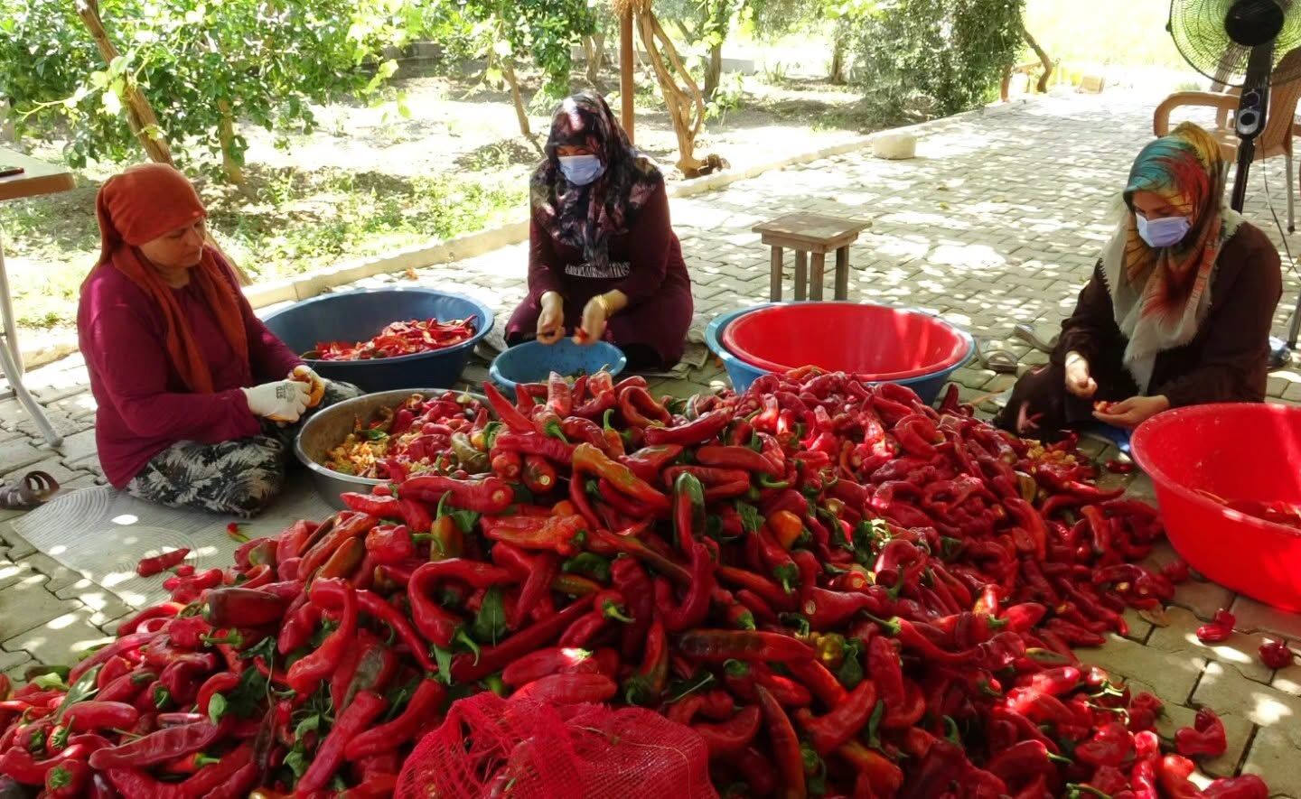 Yaşam