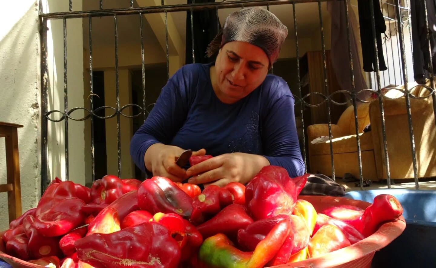 Hatay’da Biber Hasadıyla Damlar Kırmızıya Büründü4