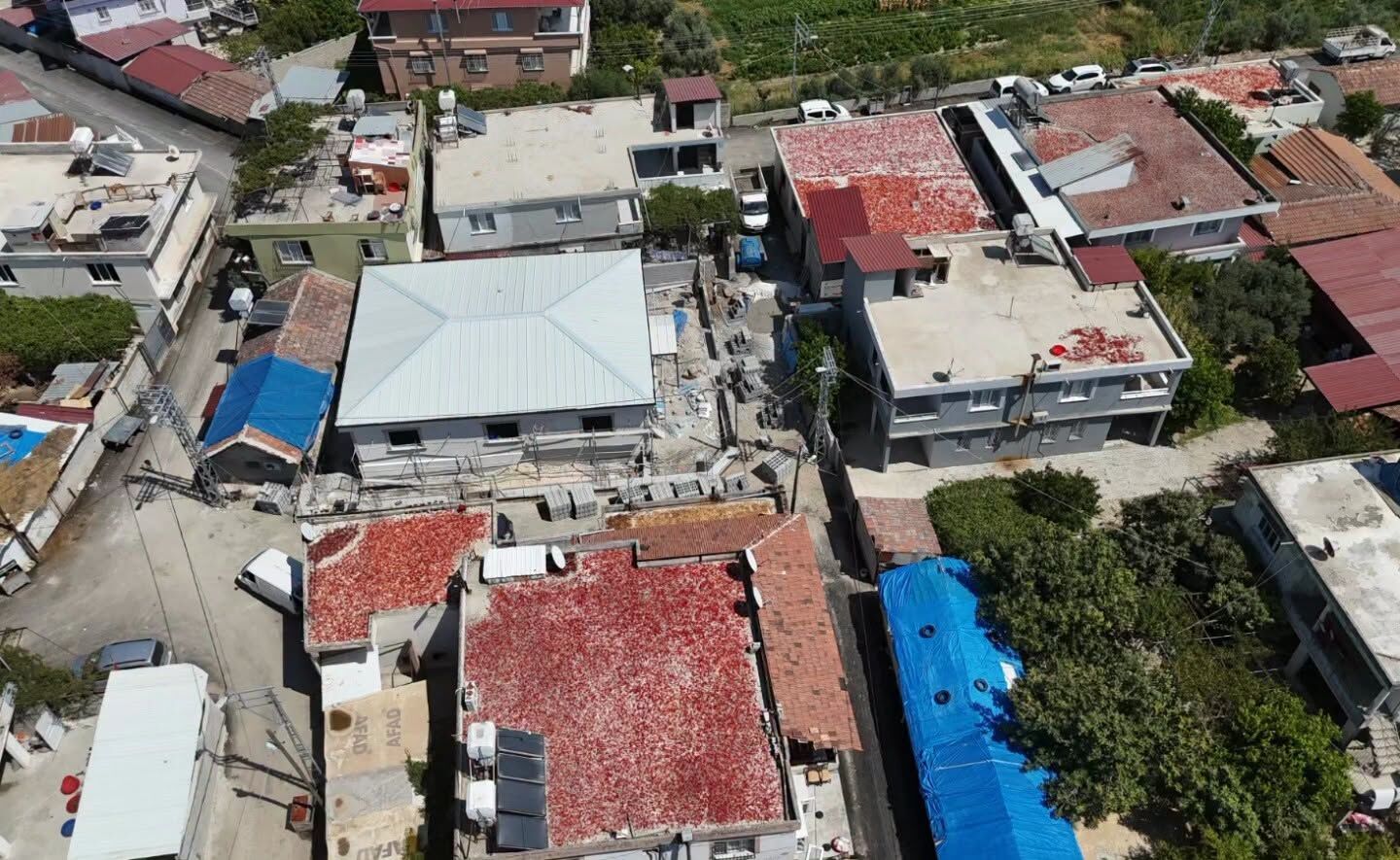Hatay’da Biber Hasadıyla Damlar Kırmızıya Büründü8