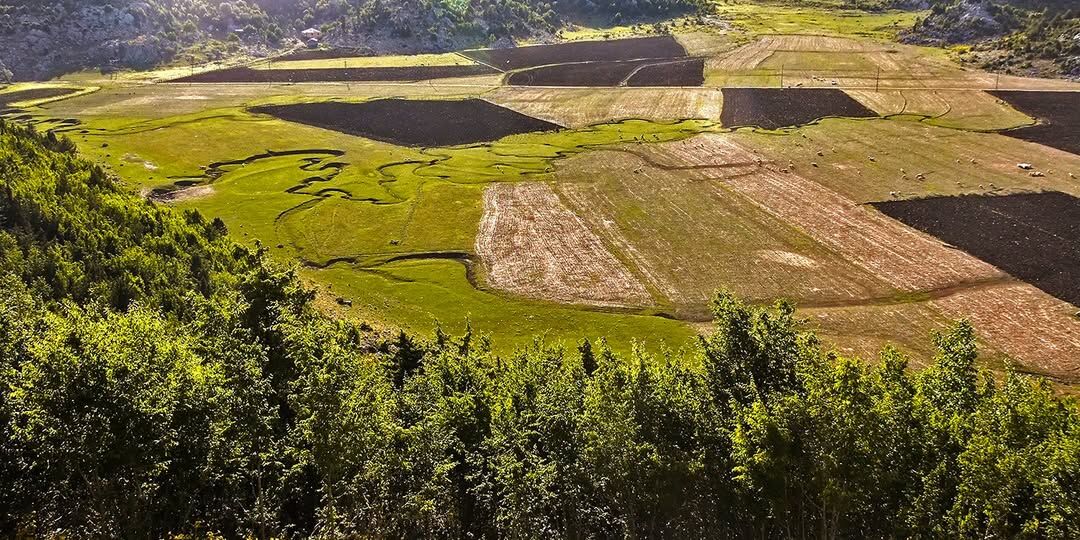 Doğa