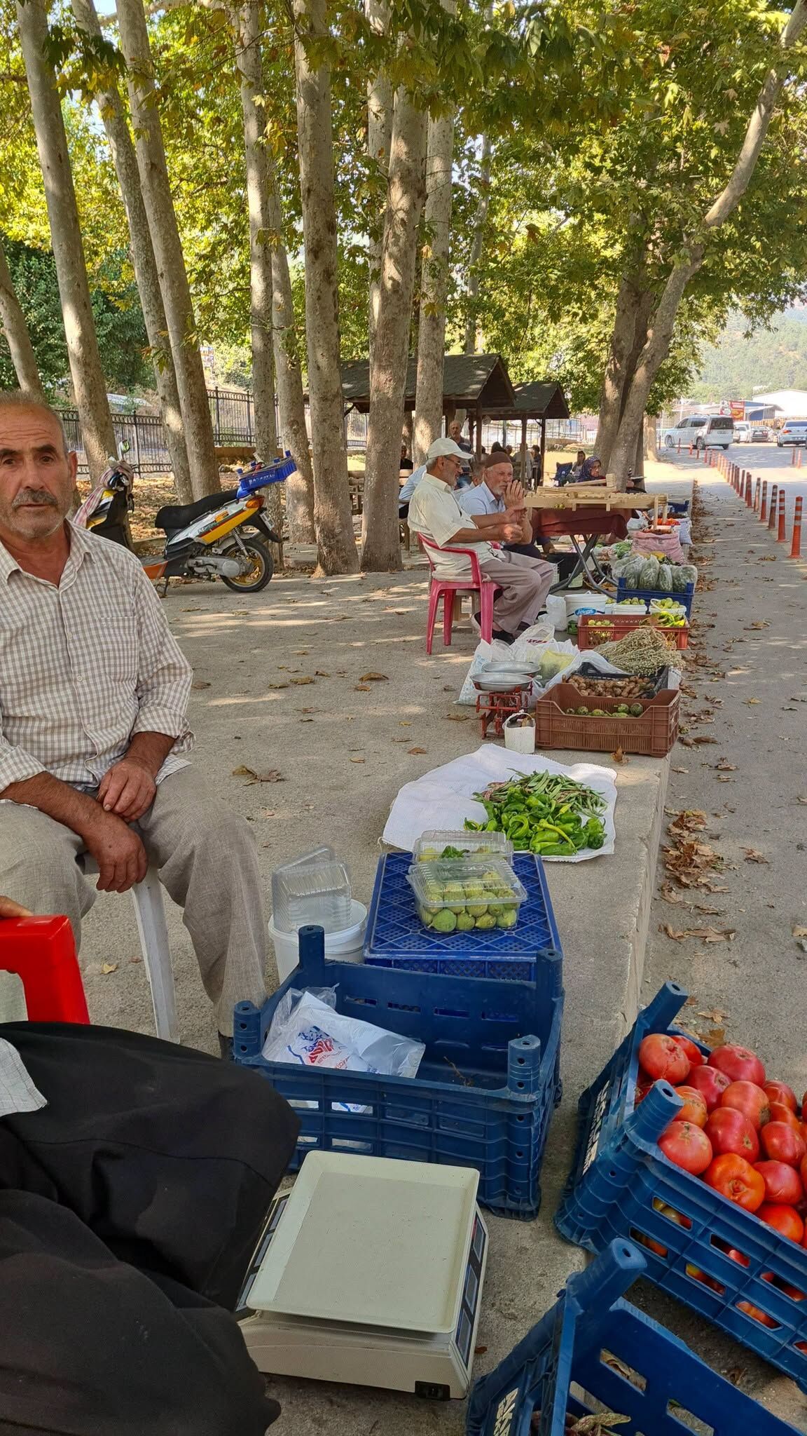 Osmaniye Bahçe’de Köylü Pazarı Taze Ürünleriyle İlgi Görüyor2