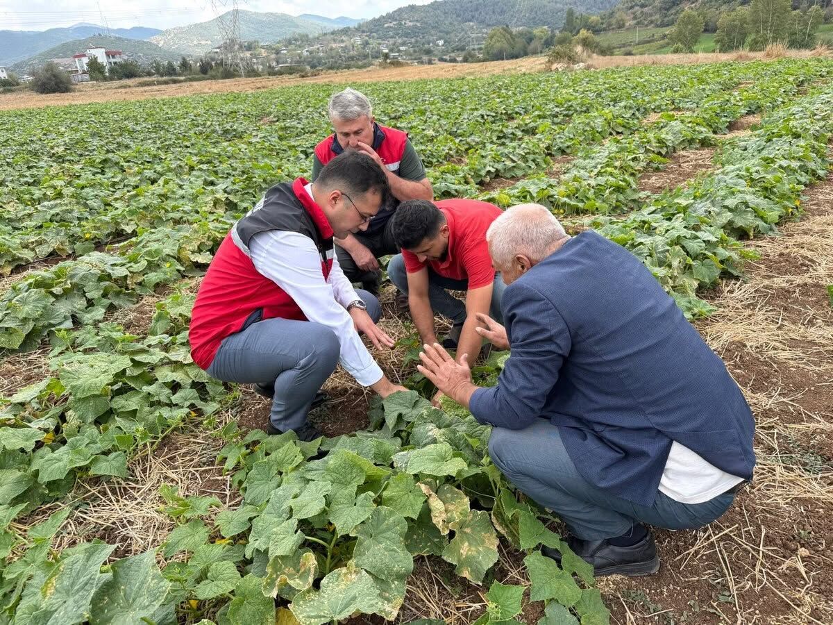Osmaniye Hasanbeyli’de Kaymakam Hasada Katıldı3
