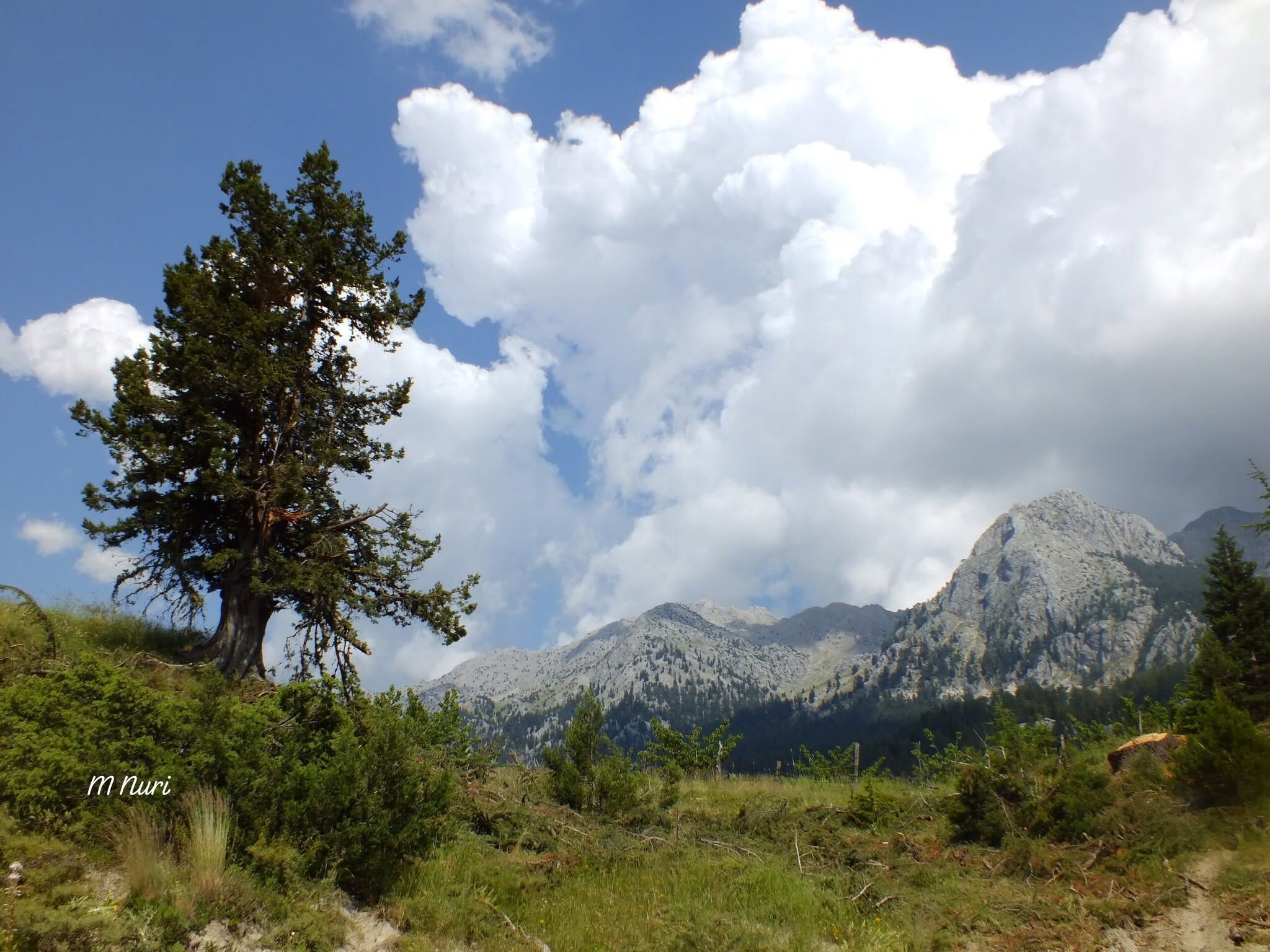 Doğa