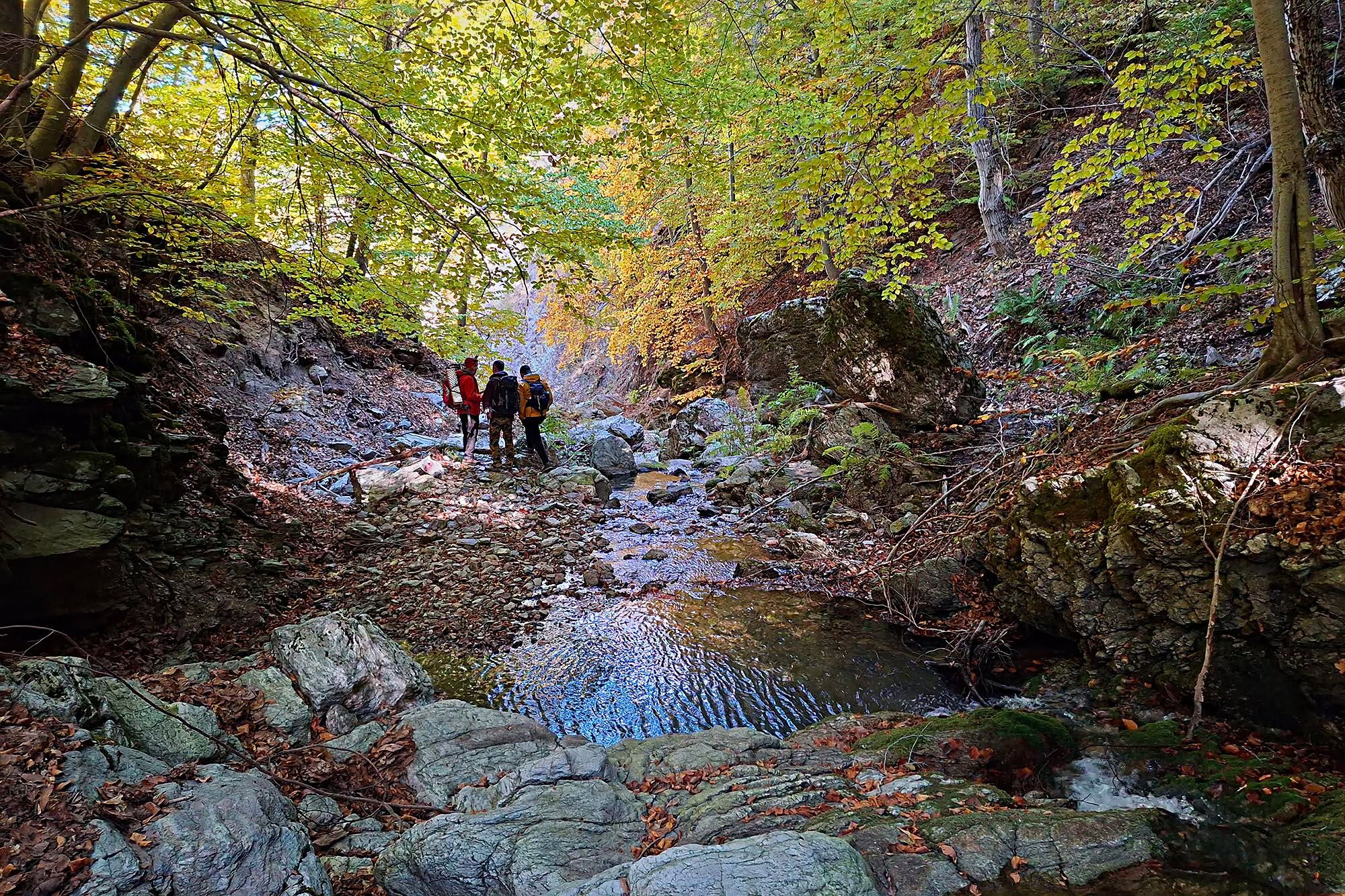 Osmaniye Karaçay’da Doğa Alarmı Gözeler İçin Çağrı2
