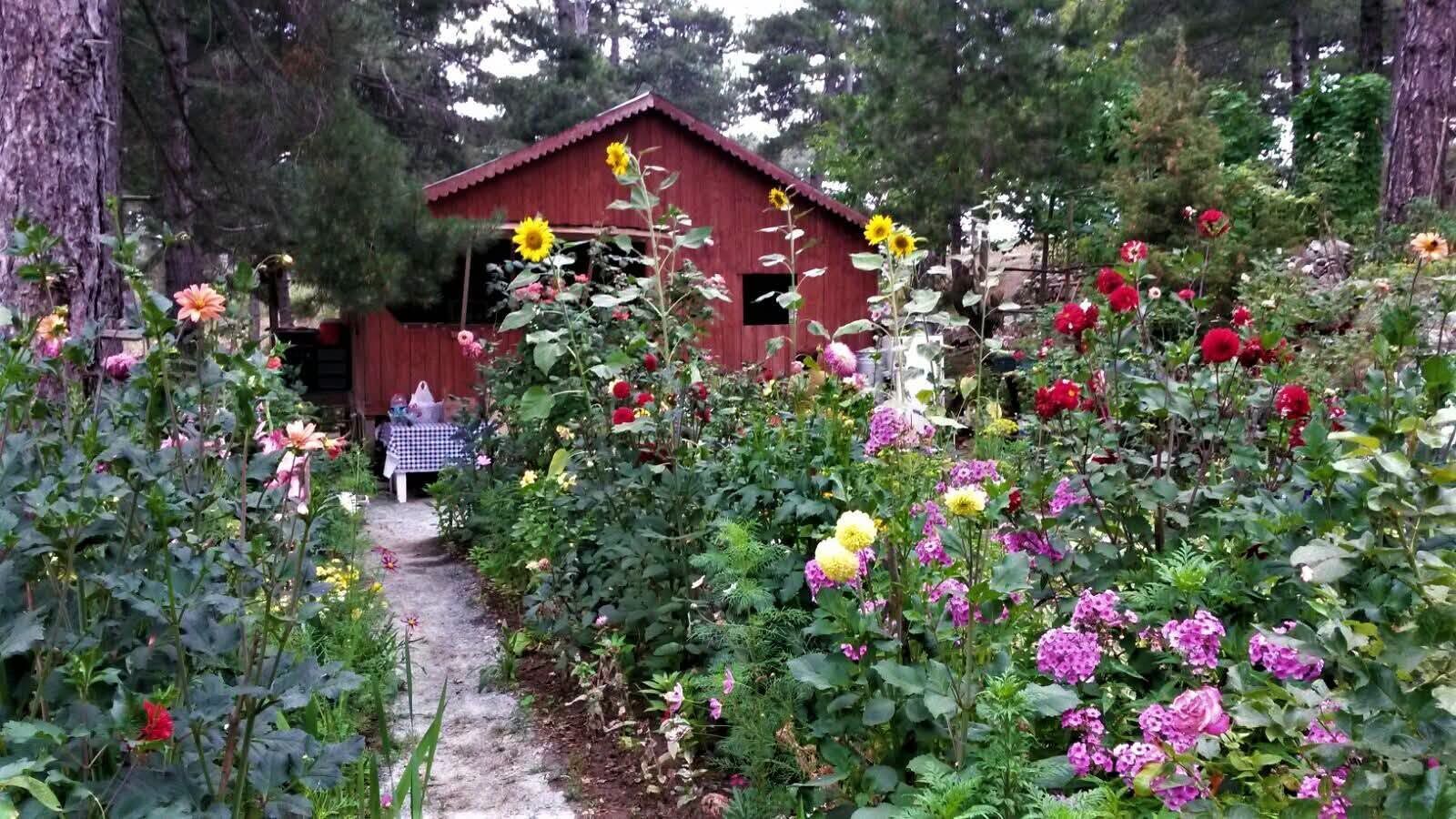 Osmaniye Zorkun Yaylası’nda Doğadan Renkli Kareler