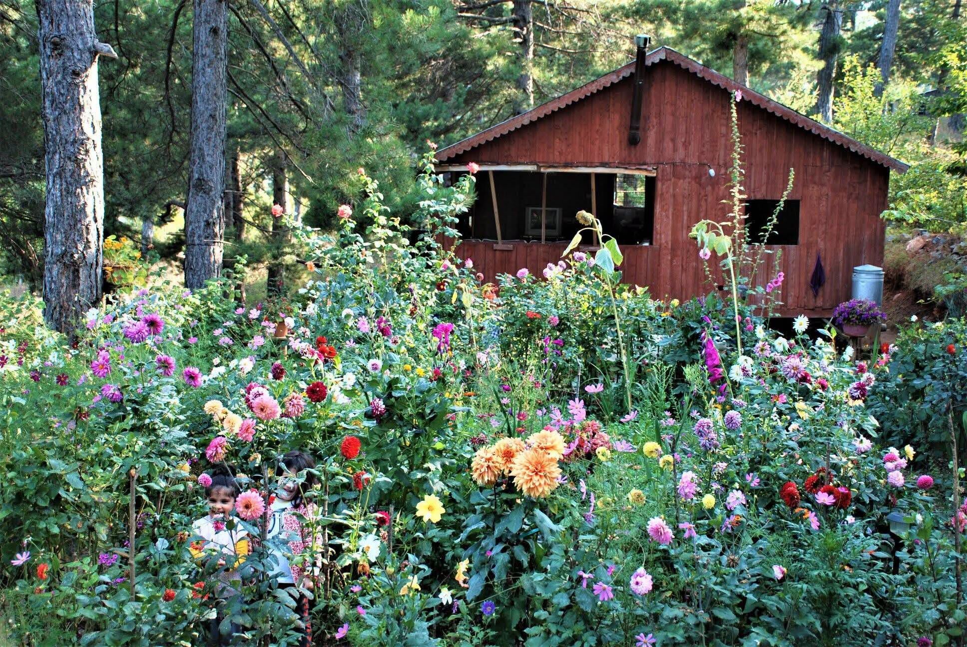 Osmaniye Zorkun Yaylası’nda Doğadan Renkli Kareler5