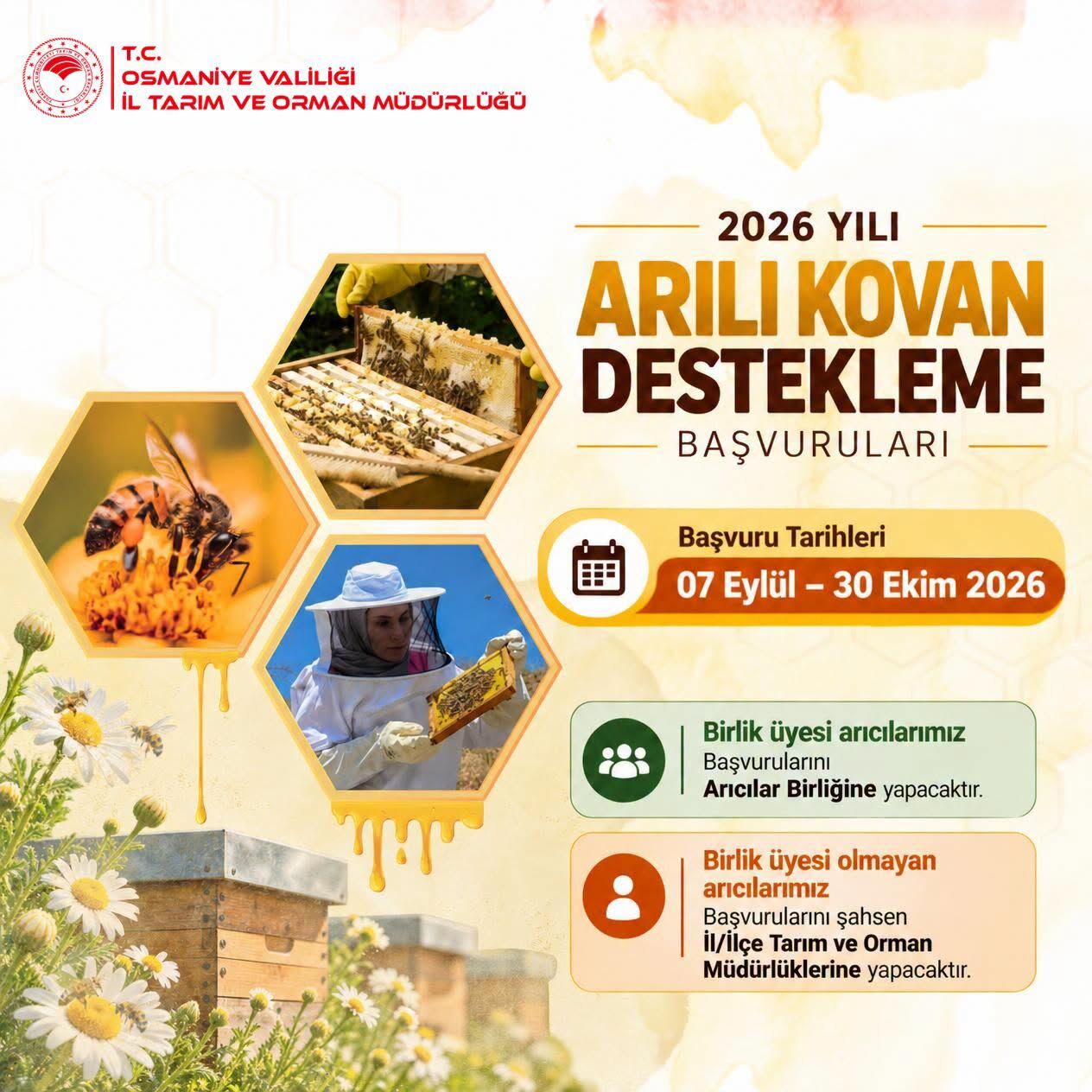 Osmaniye’de Arıcılara Kovan Desteği İçin Başvurular Başladı