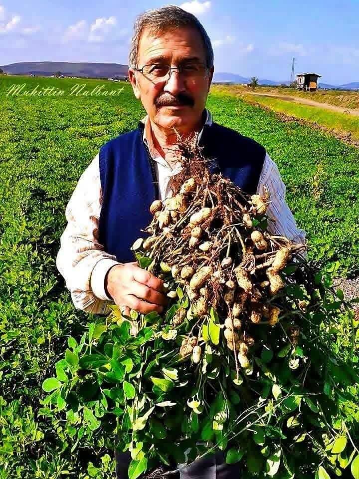 Osmaniye’nin Fıstığı Ve İnciri Sofralara Bereket Katıyor7