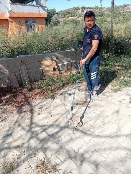 Samandağ’da Yerleşim Yerine Giren Yılan Doğaya Bırakıldı