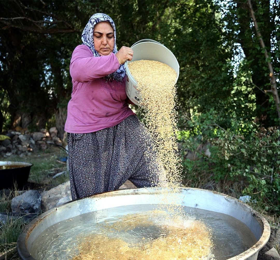 Anadolu'da Harman Geleneği Hedikten Bulgura Yolculuk5