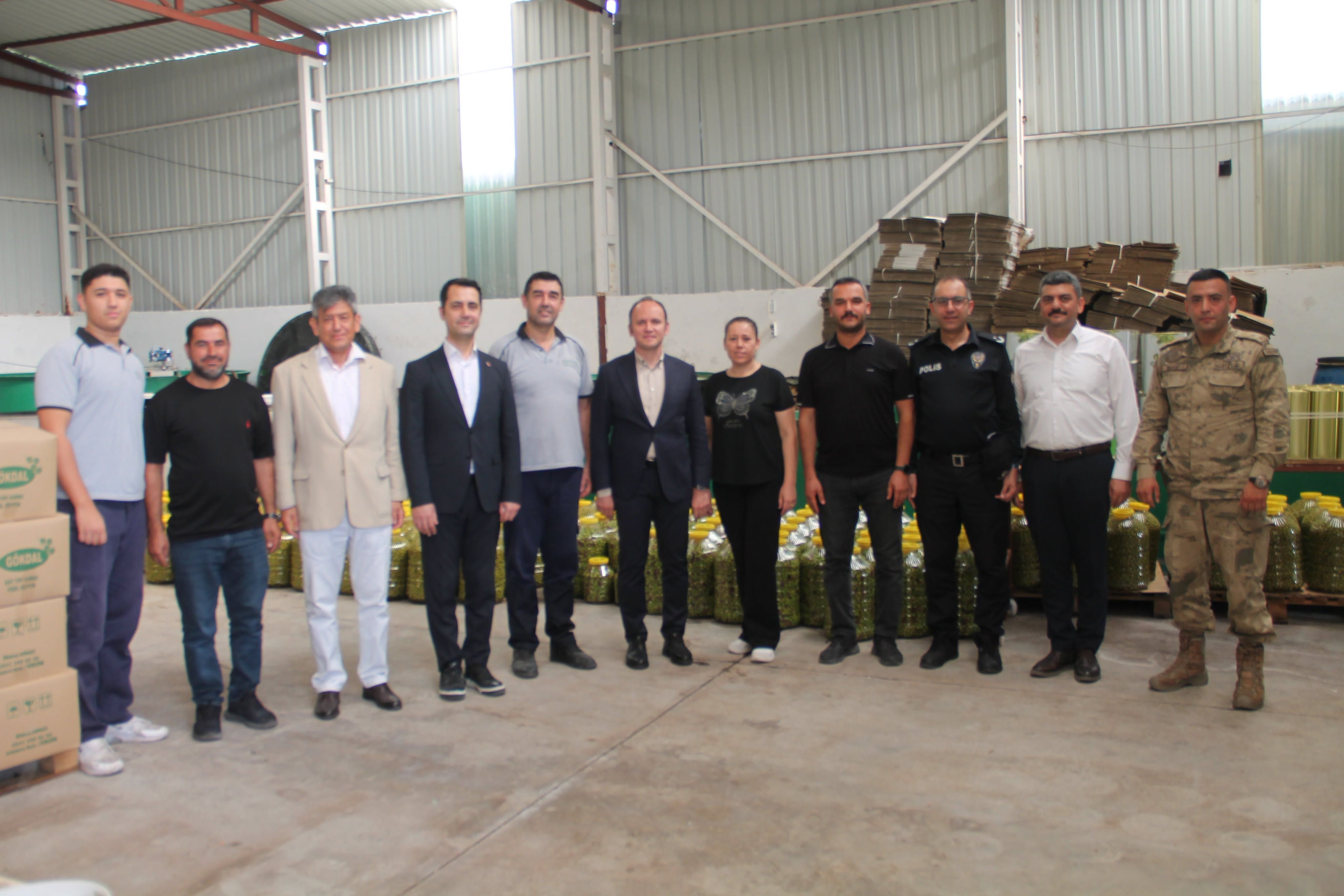 Erzin Kaymakamı Akpınar'dan Gökdal Zeytincilik'e Ziyaret4