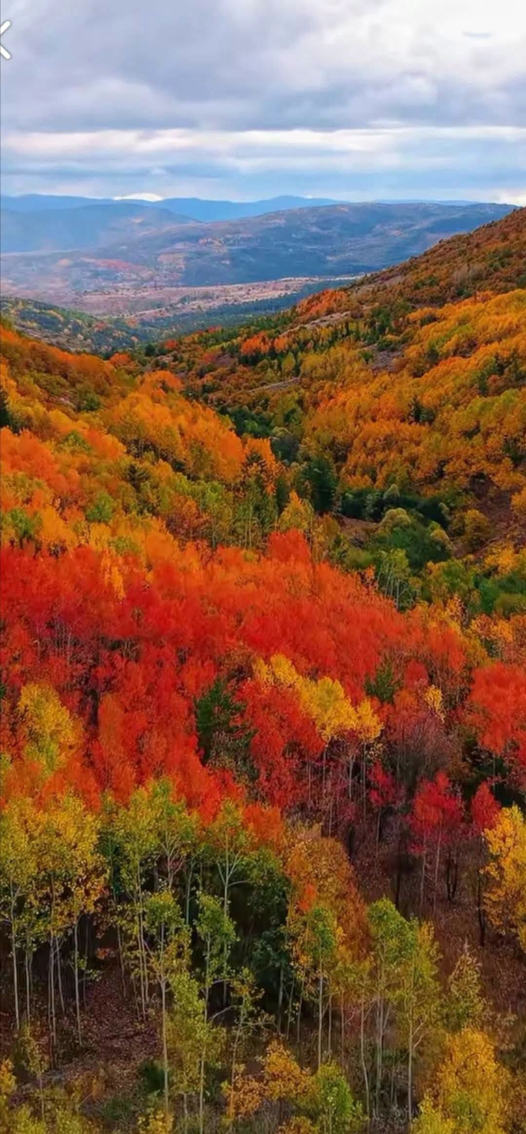 Gümüşhane (6)