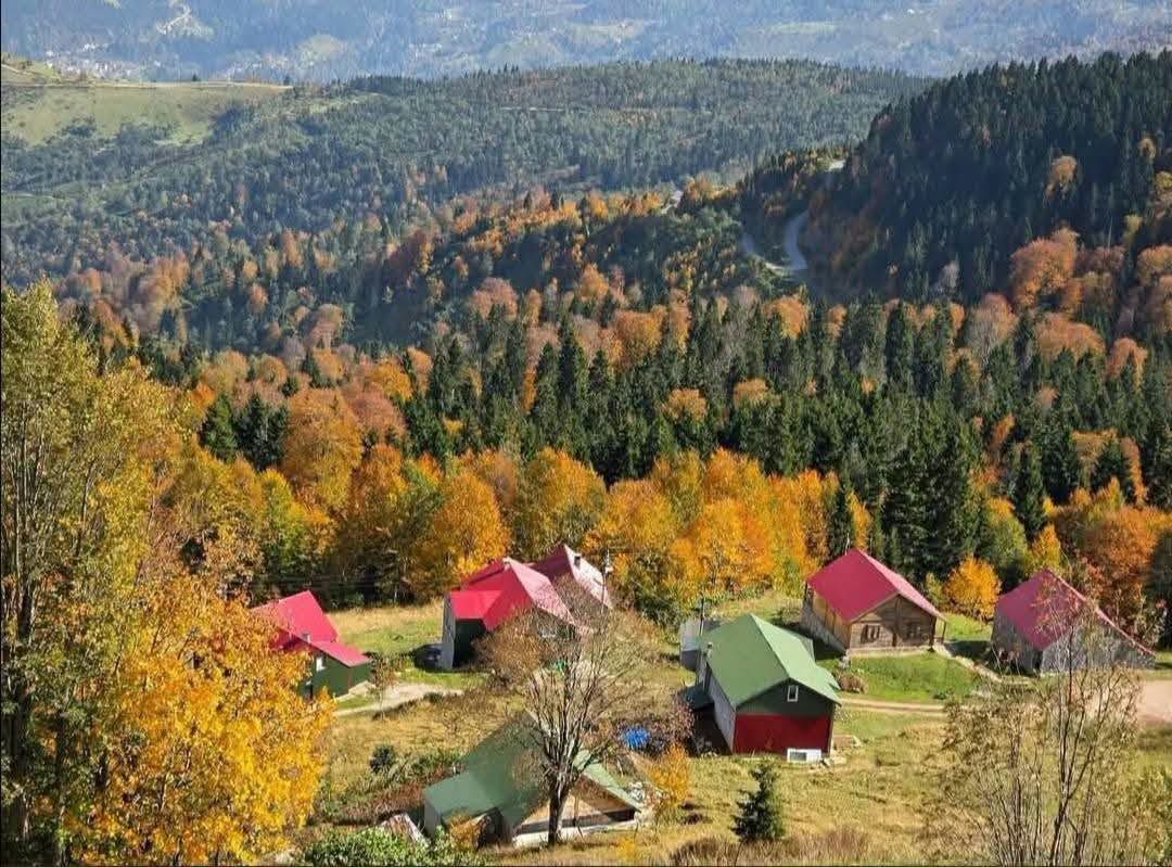 Gümüşhane (9)