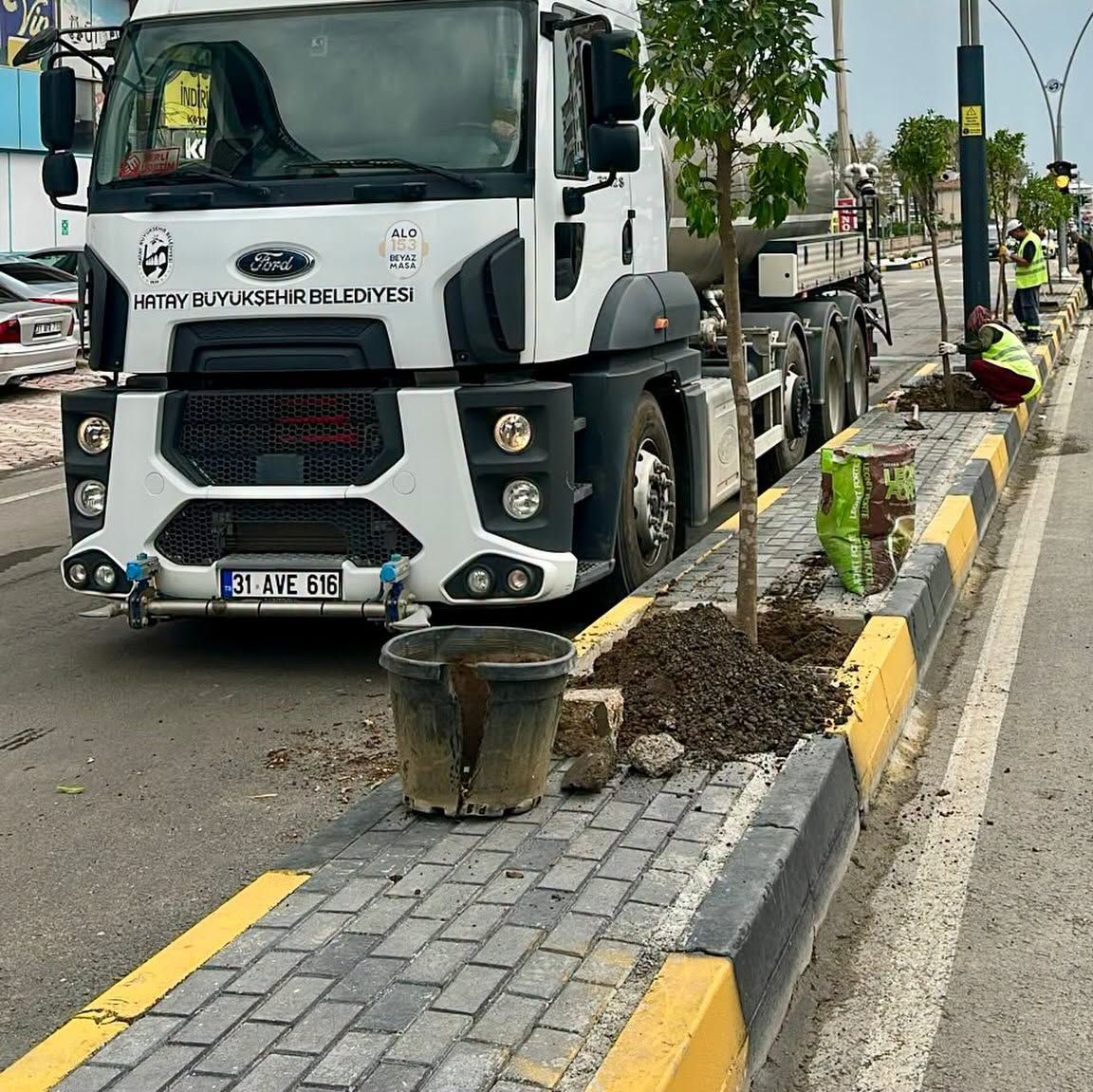 Hatay Dörtyol’da Orta Refüjlere Turunç Ağacı Dikiliyor1