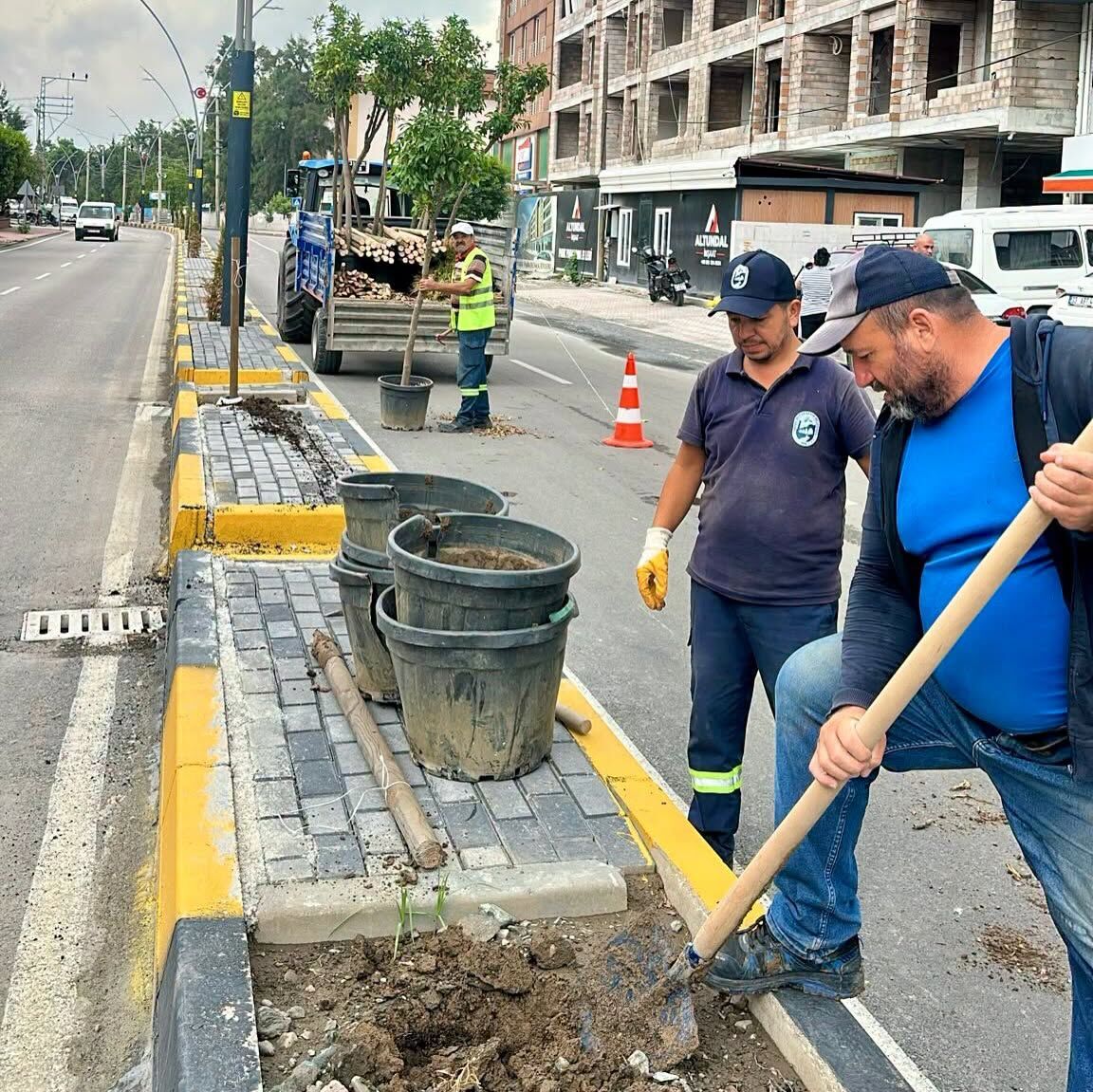 Hatay Dörtyol’da Orta Refüjlere Turunç Ağacı Dikiliyor5