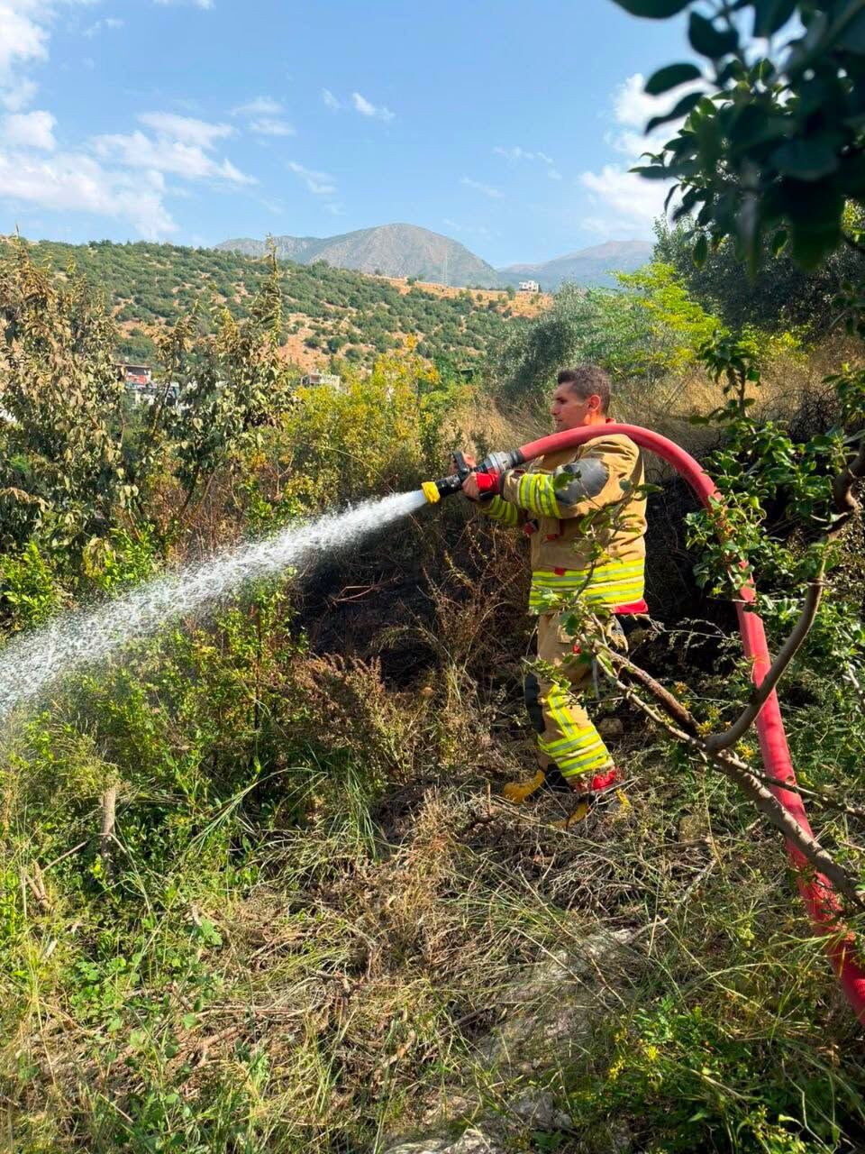 Hatay İskenderun’da Ağaçlık Alanda Yangın Çıktı2